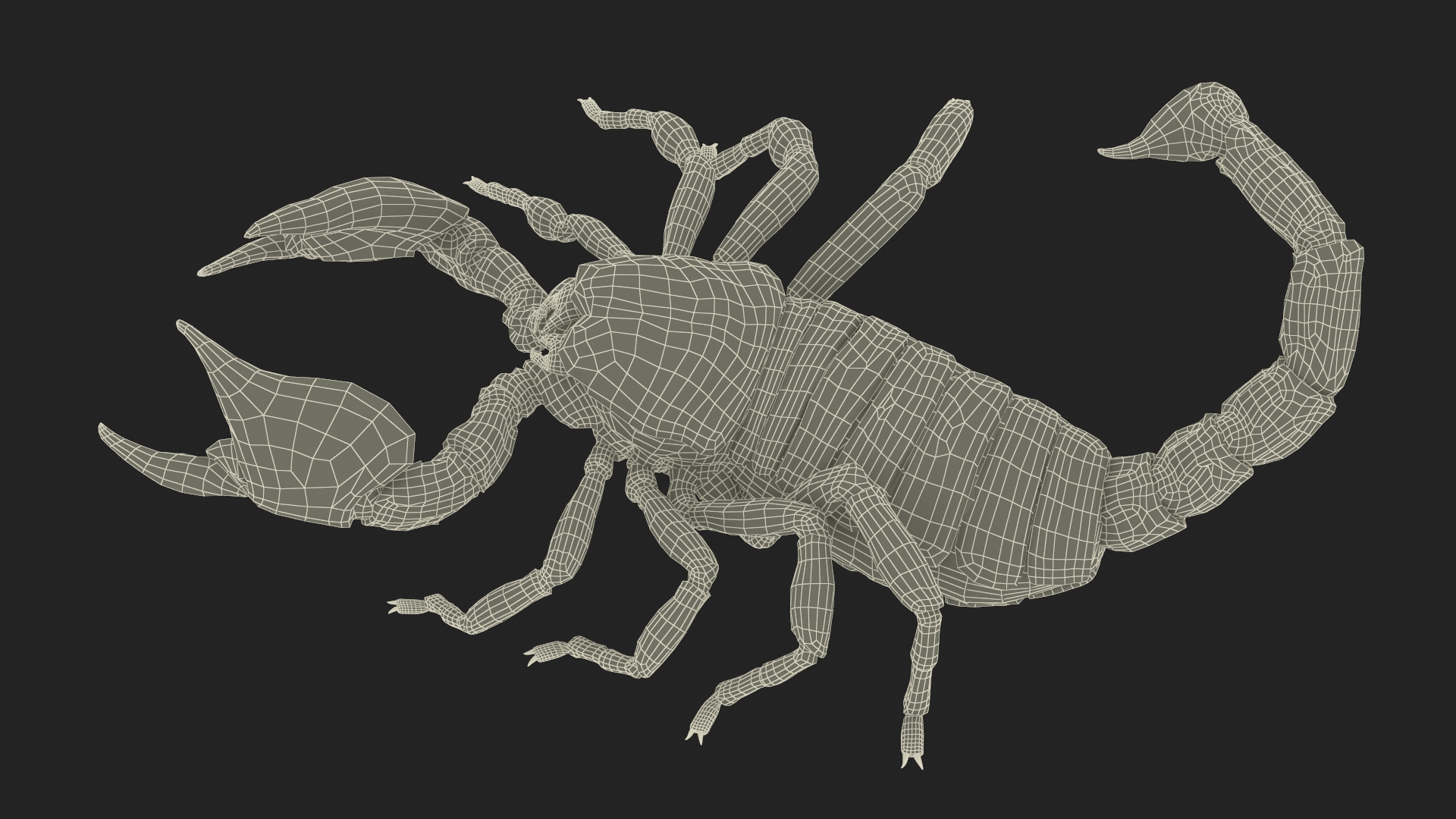 Realistic Scorpion Fur Rigged 3D model