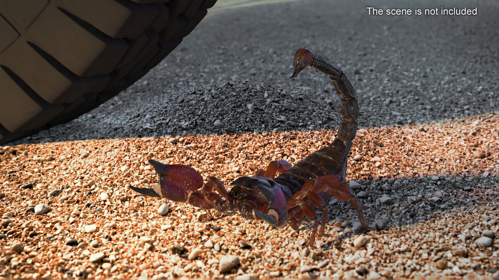 Realistic Scorpion Fur Rigged 3D model