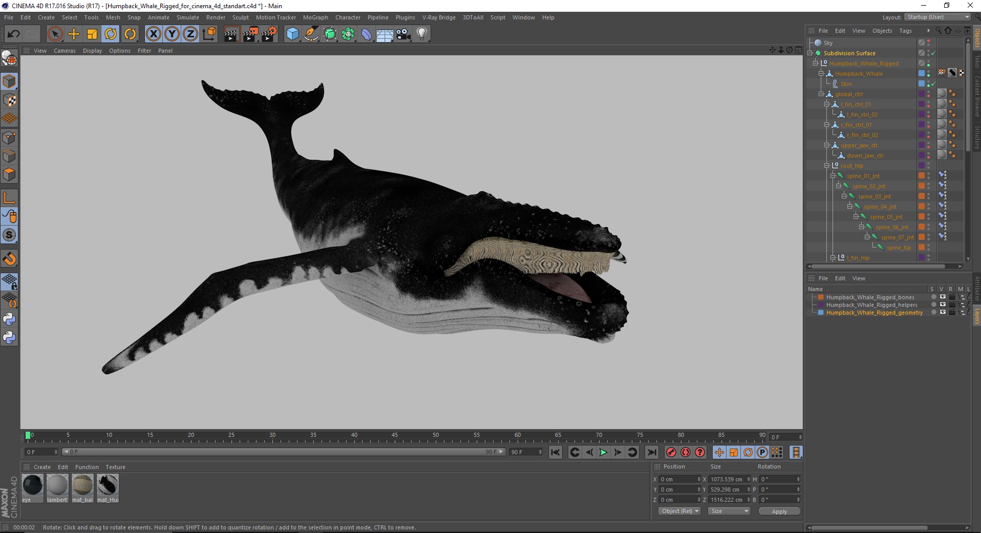 3D model Humpback Whale Rigged for Cinema 4D