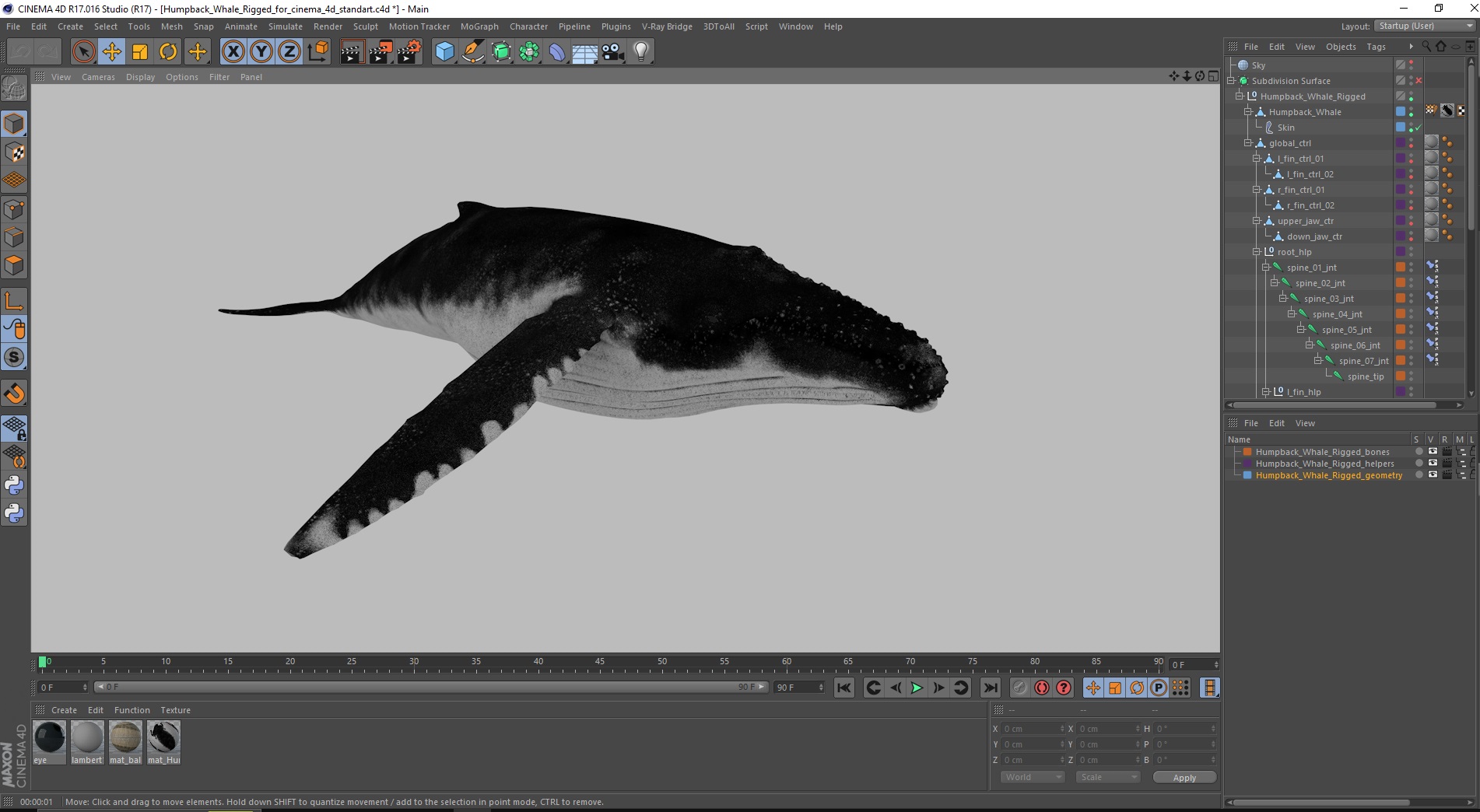 3D model Humpback Whale Rigged for Cinema 4D