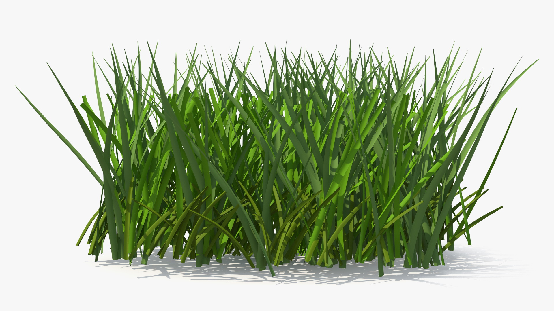 Realistic Patch of Grass 3D model