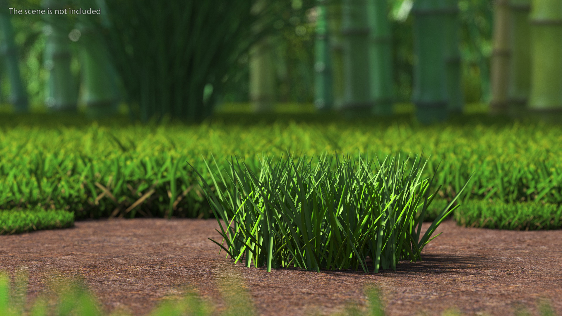 Realistic Patch of Grass 3D model