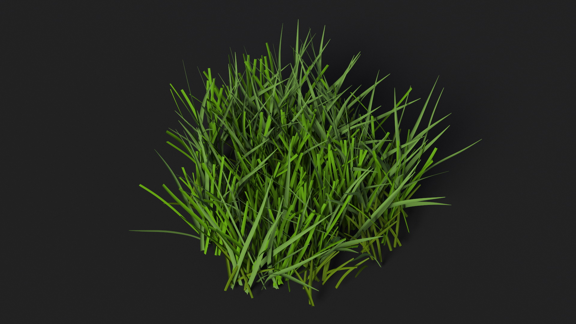 Realistic Patch of Grass 3D model