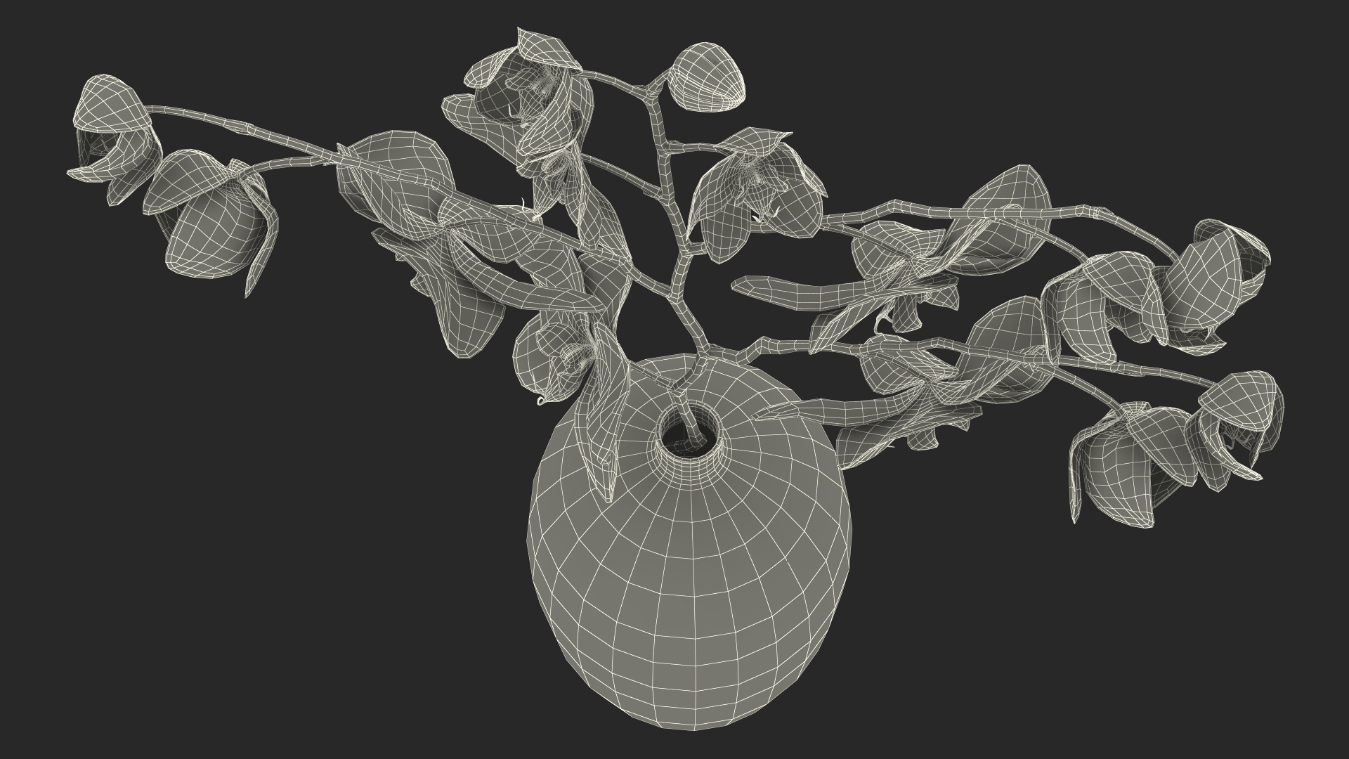 3D model Black Vase with Phalaenopsis Orchid