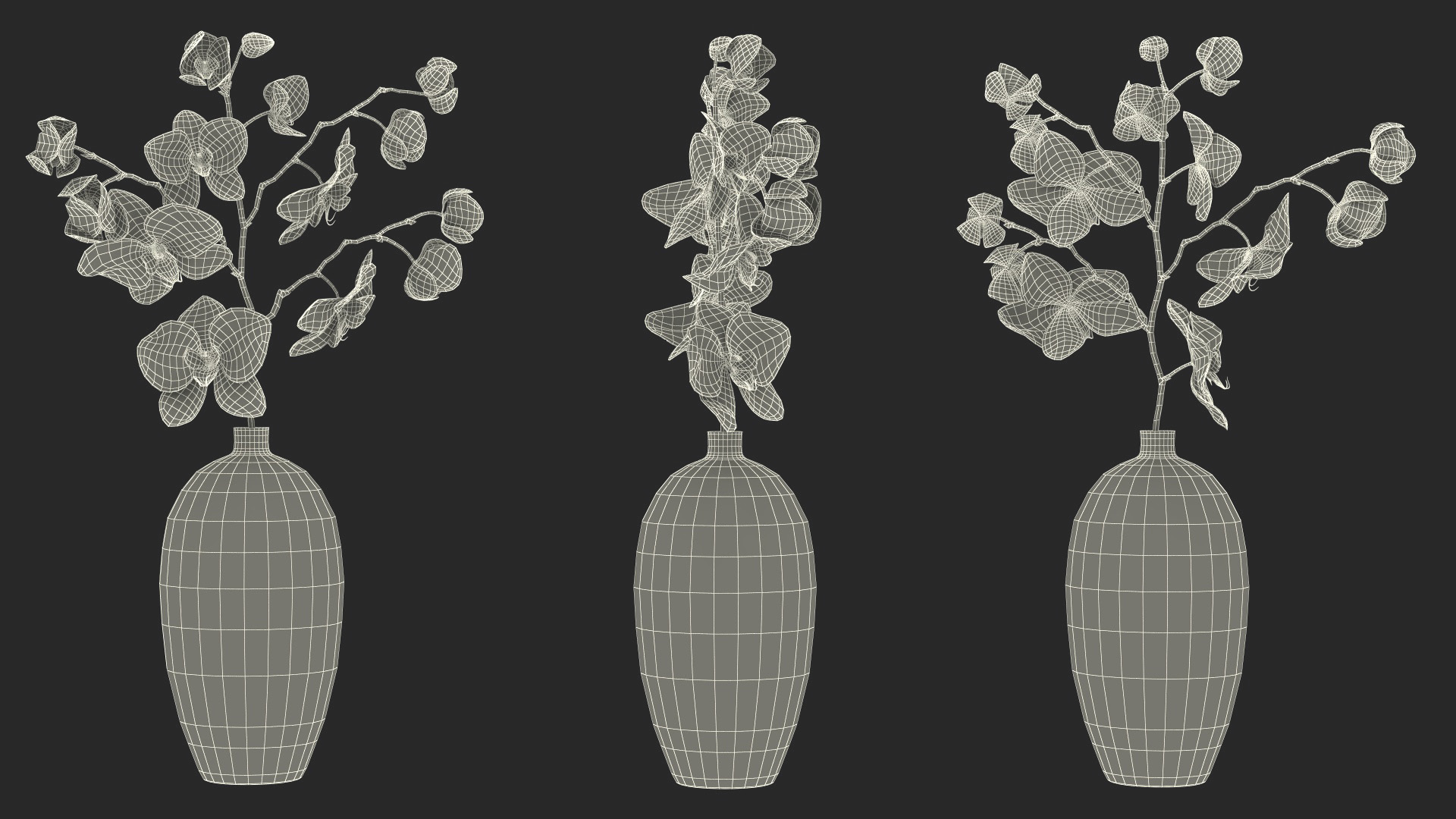 3D model Black Vase with Phalaenopsis Orchid