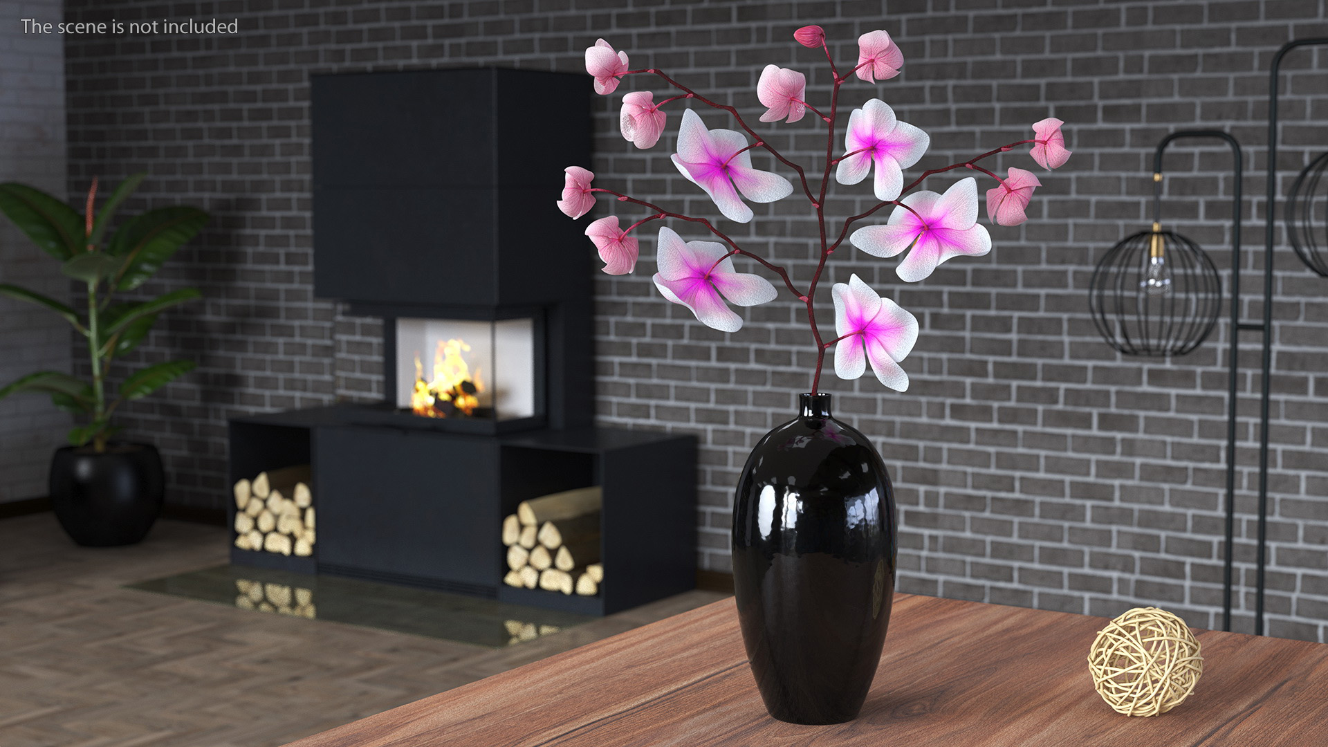 3D model Black Vase with Phalaenopsis Orchid