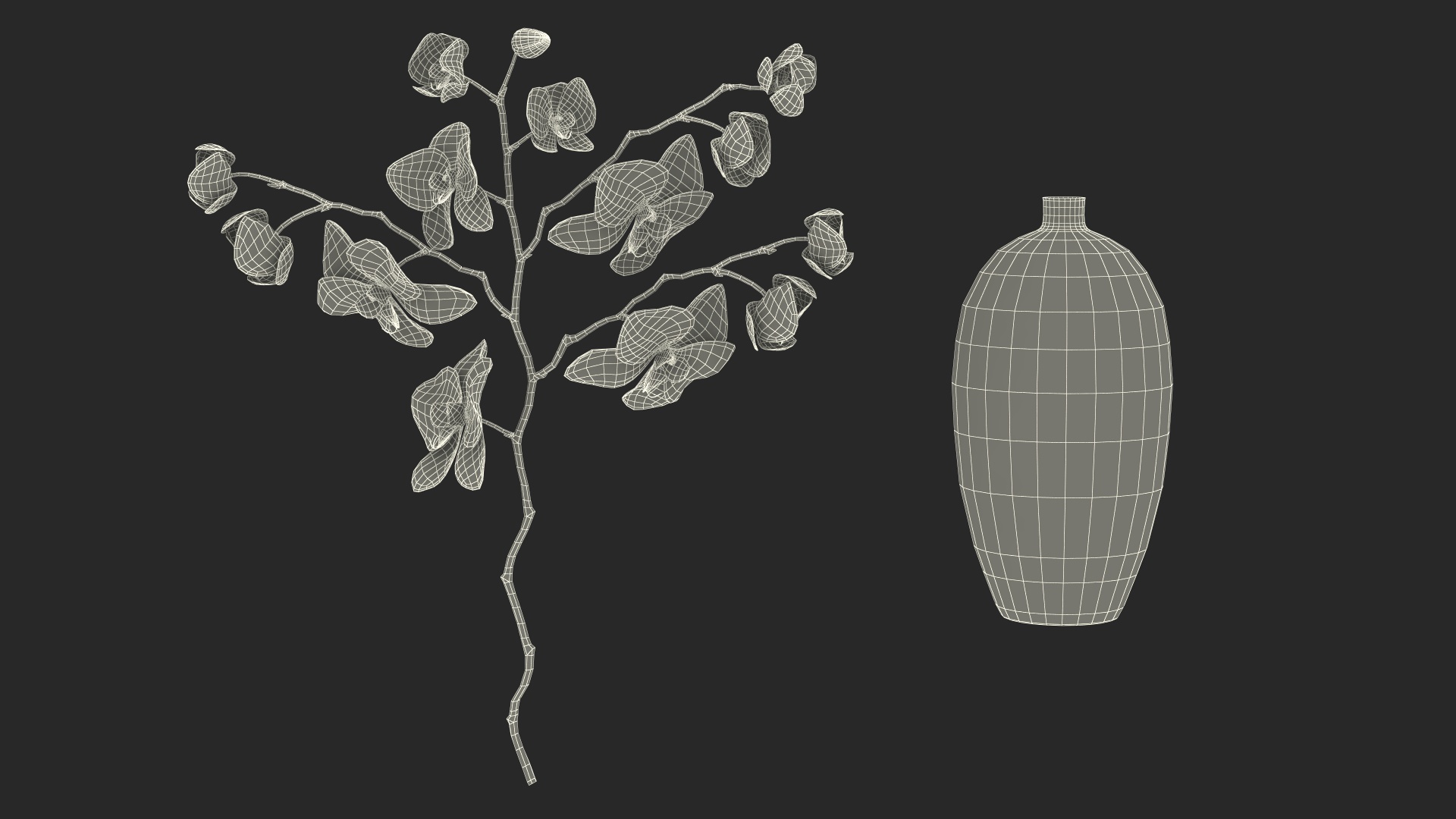 3D model Black Vase with Phalaenopsis Orchid