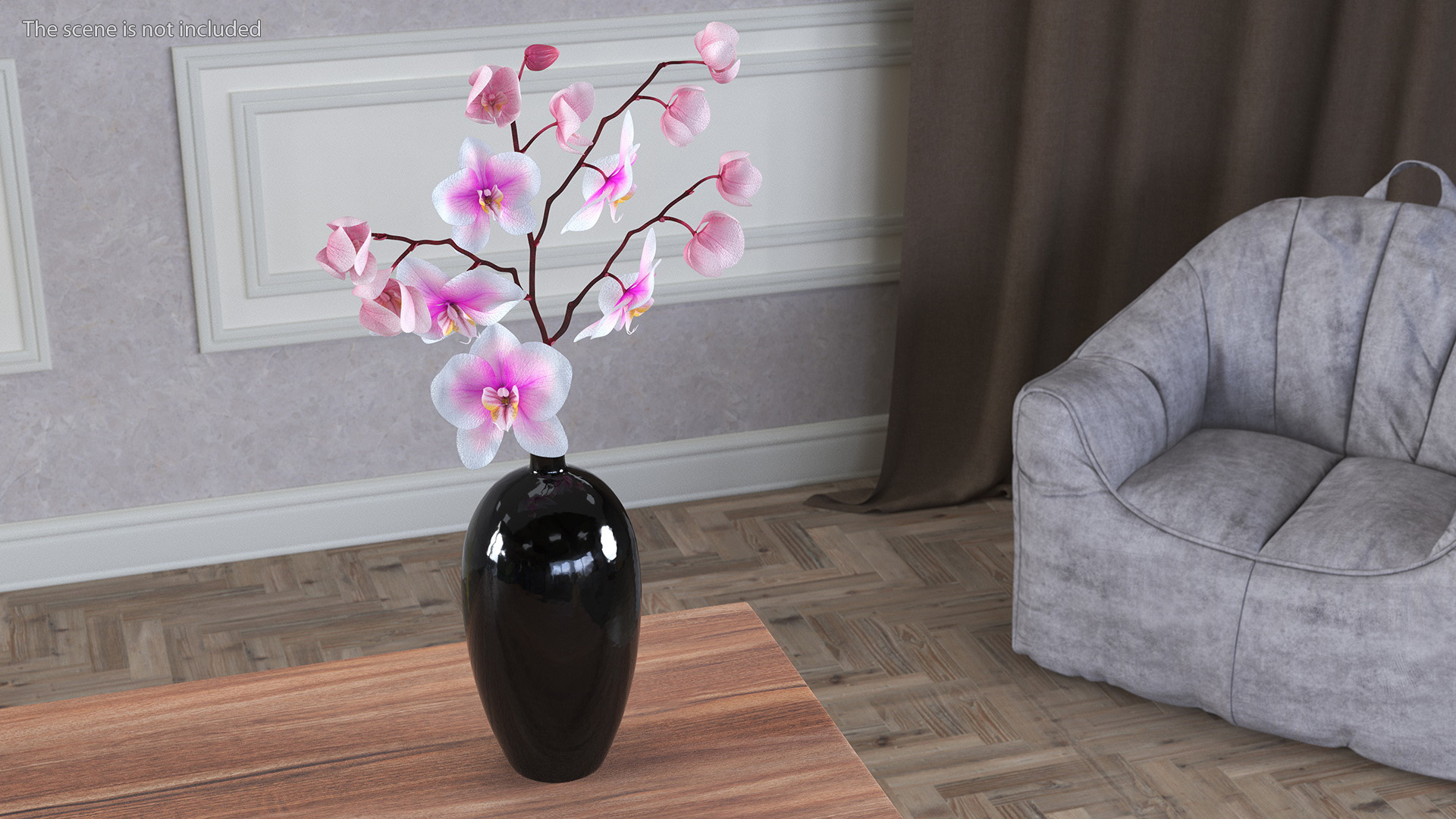 3D model Black Vase with Phalaenopsis Orchid