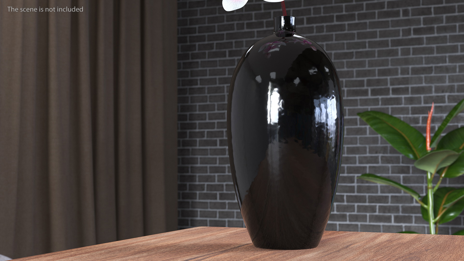 3D model Black Vase with Phalaenopsis Orchid