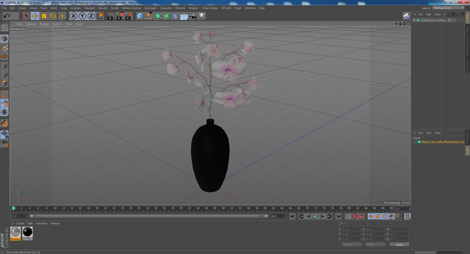 3D model Black Vase with Phalaenopsis Orchid