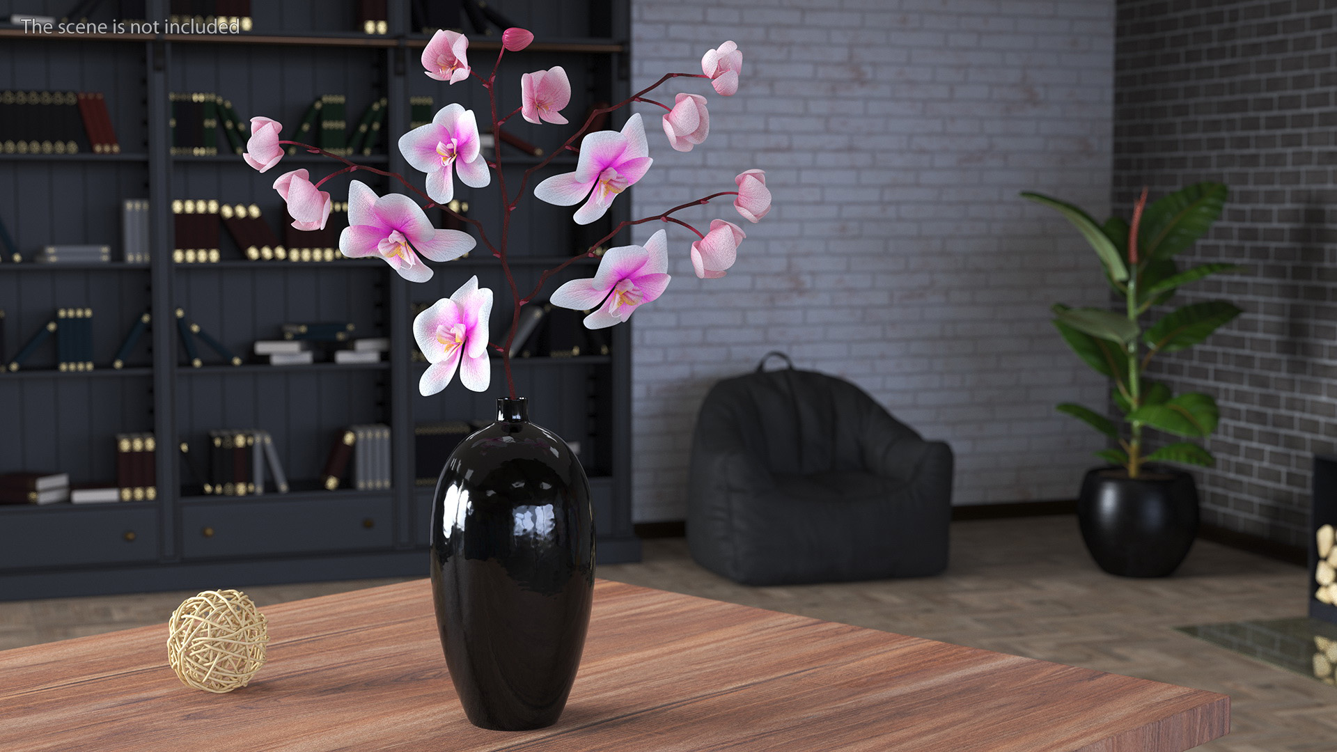 3D model Black Vase with Phalaenopsis Orchid