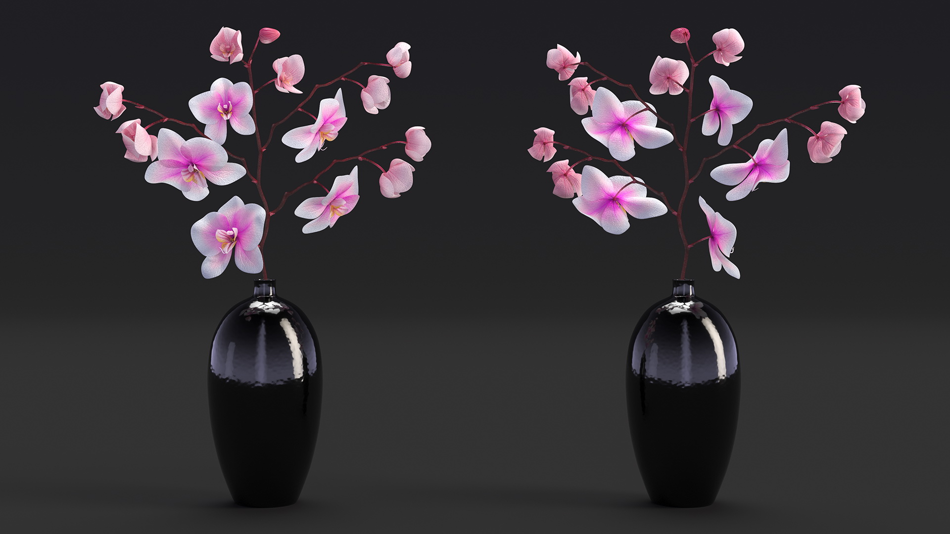 3D model Black Vase with Phalaenopsis Orchid