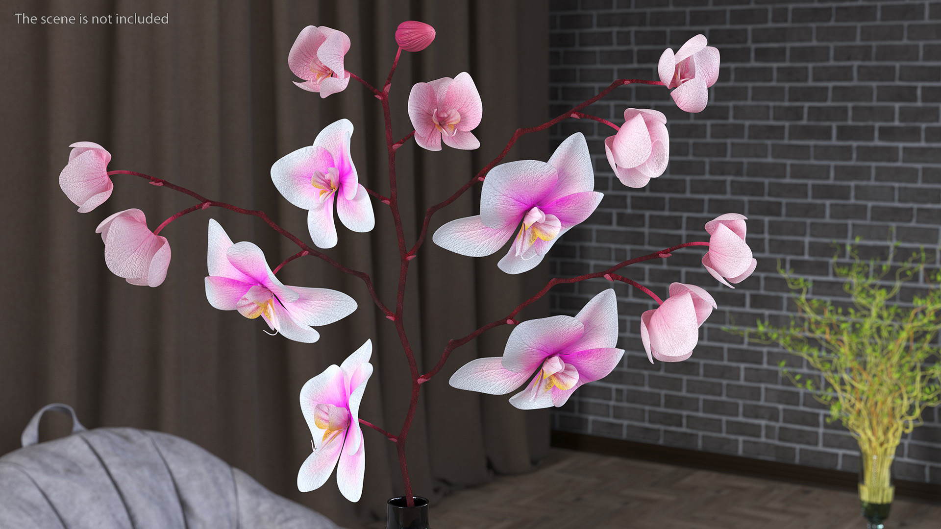 3D model Black Vase with Phalaenopsis Orchid