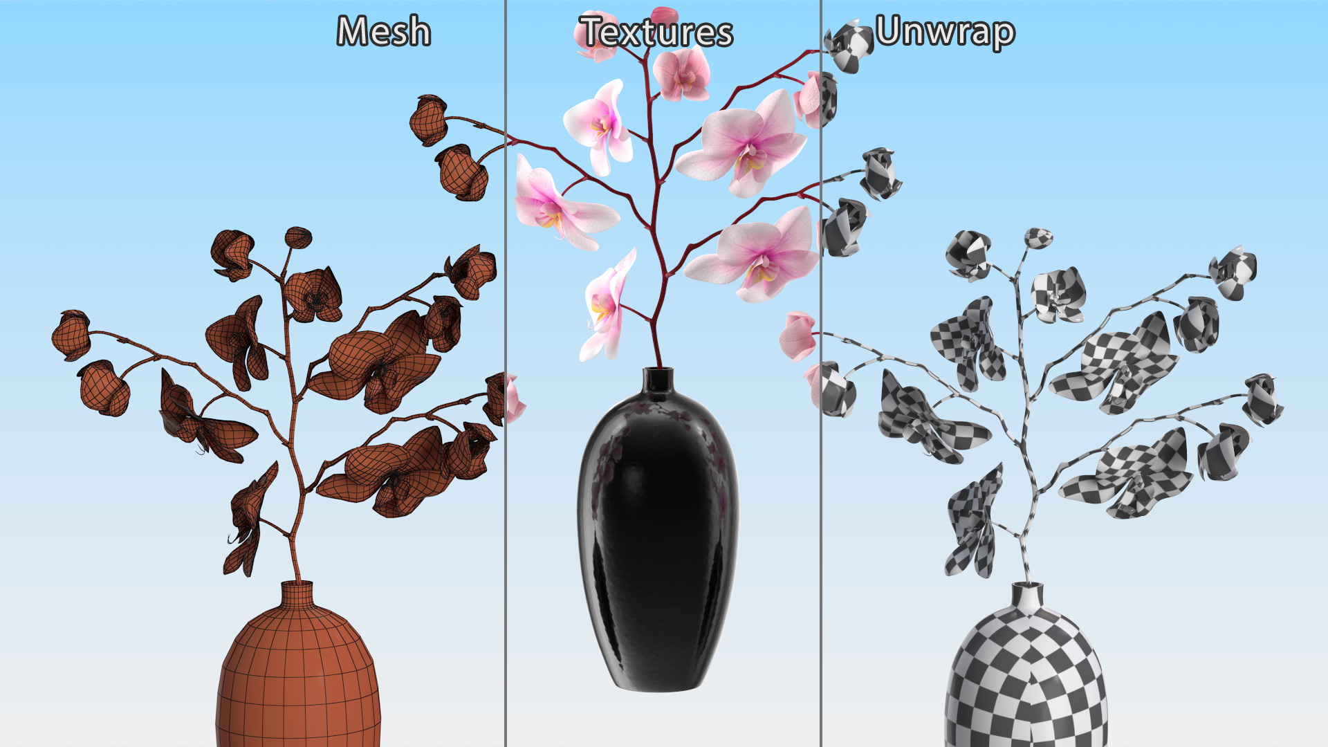 3D model Black Vase with Phalaenopsis Orchid