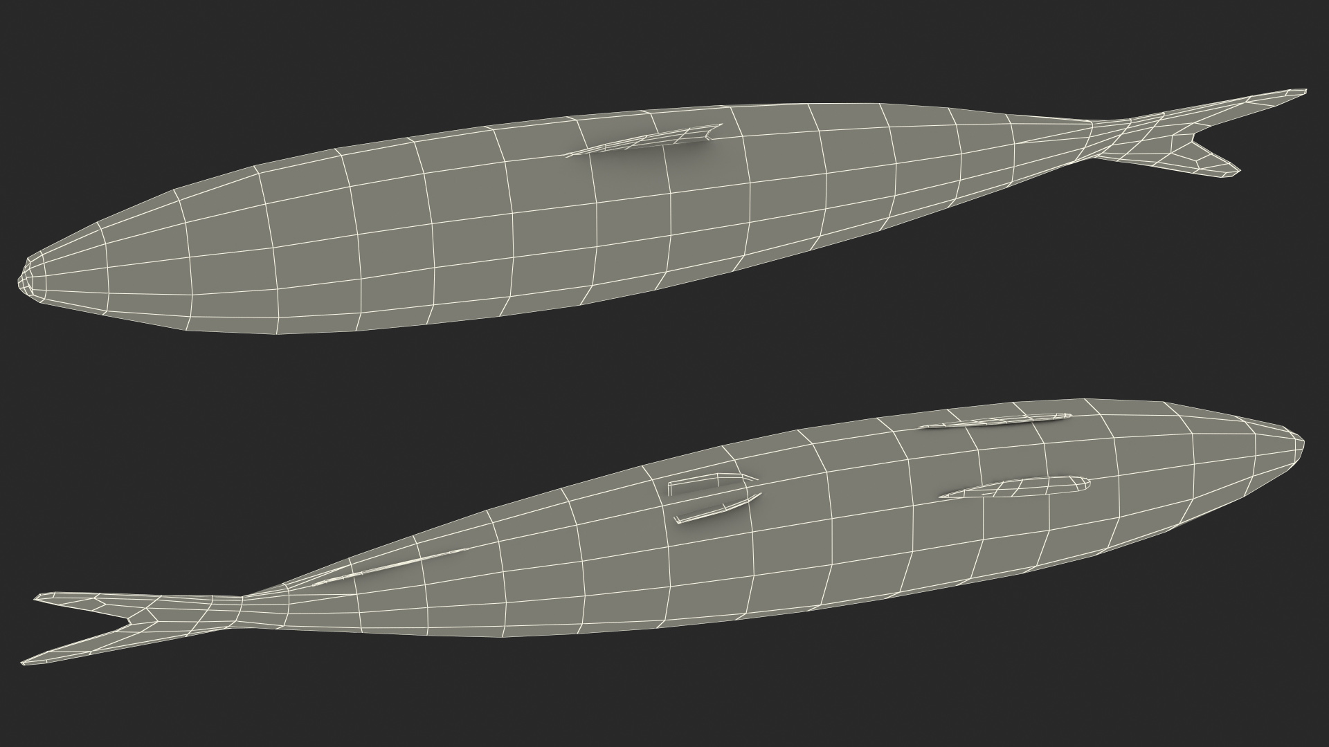 3D Fresh Sardine Fish model