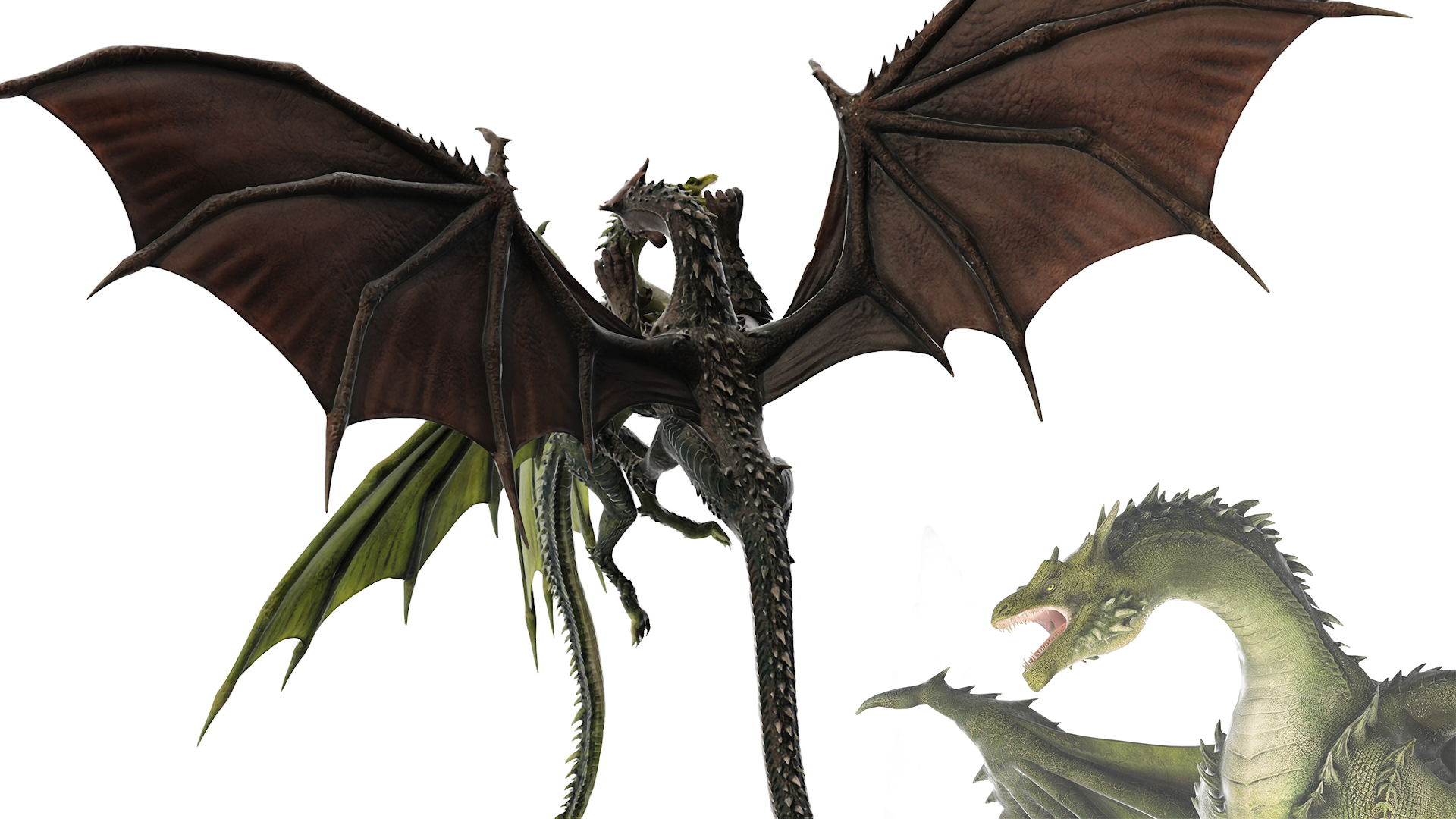 The Battle of Two Mythical Dragons 3D model