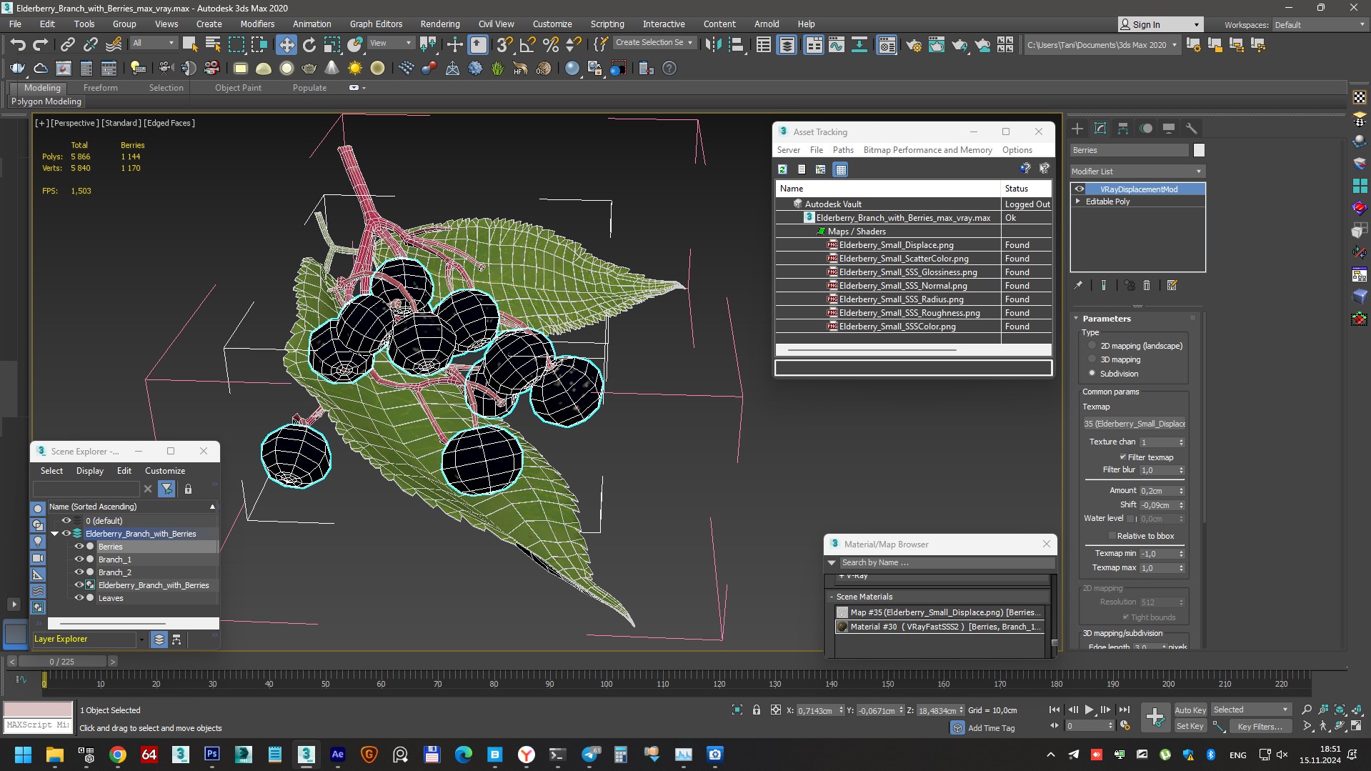 3D model Elderberry Branch with Berries