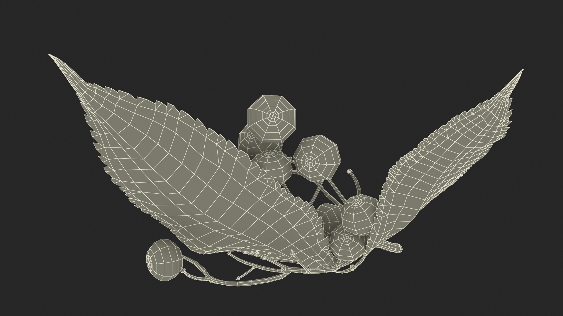 3D model Elderberry Branch with Berries