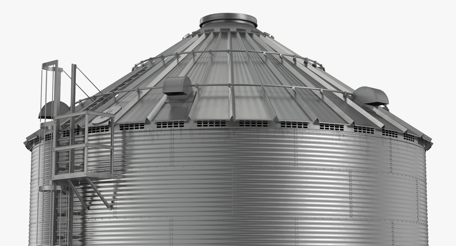 Grain Bin 3D model