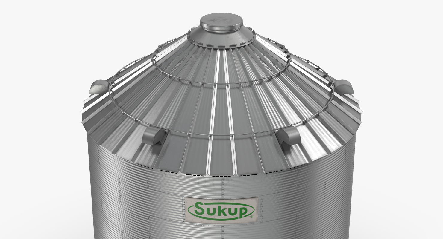 Grain Bin 3D model