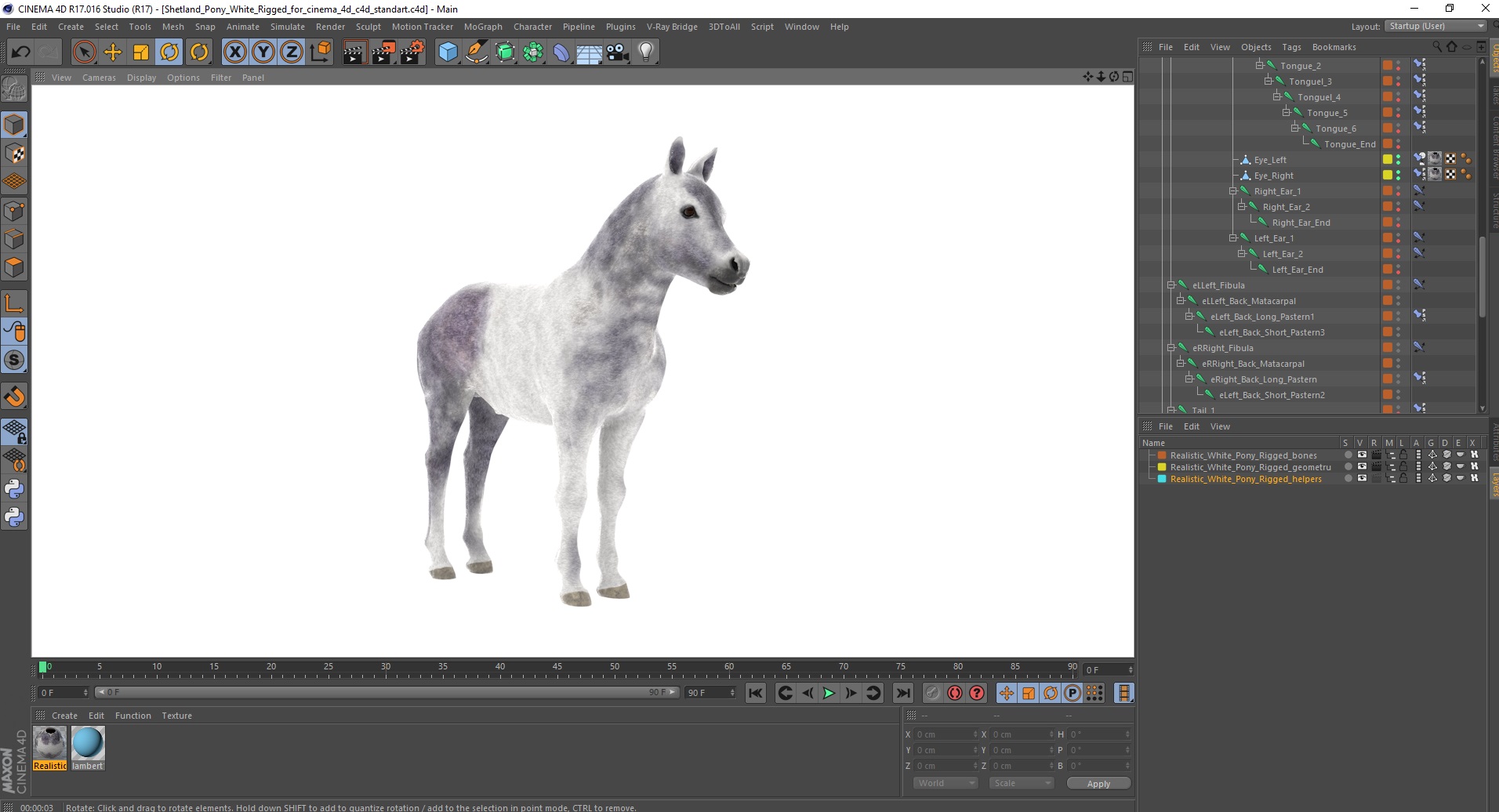 3D model Shetland Pony White Rigged for Cinema 4D