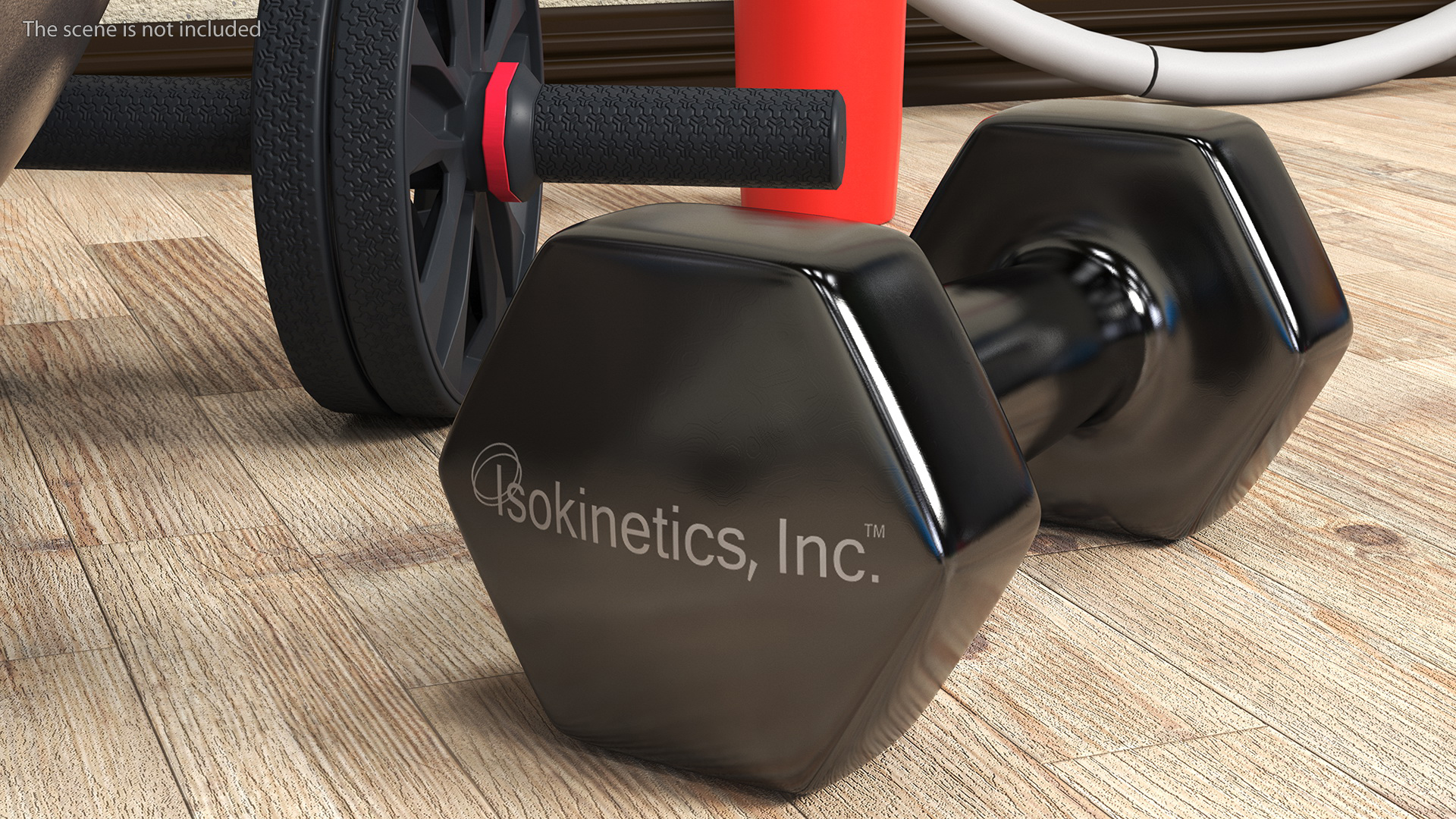 3D Hand Weight Dumbbell Vinyl Coated model