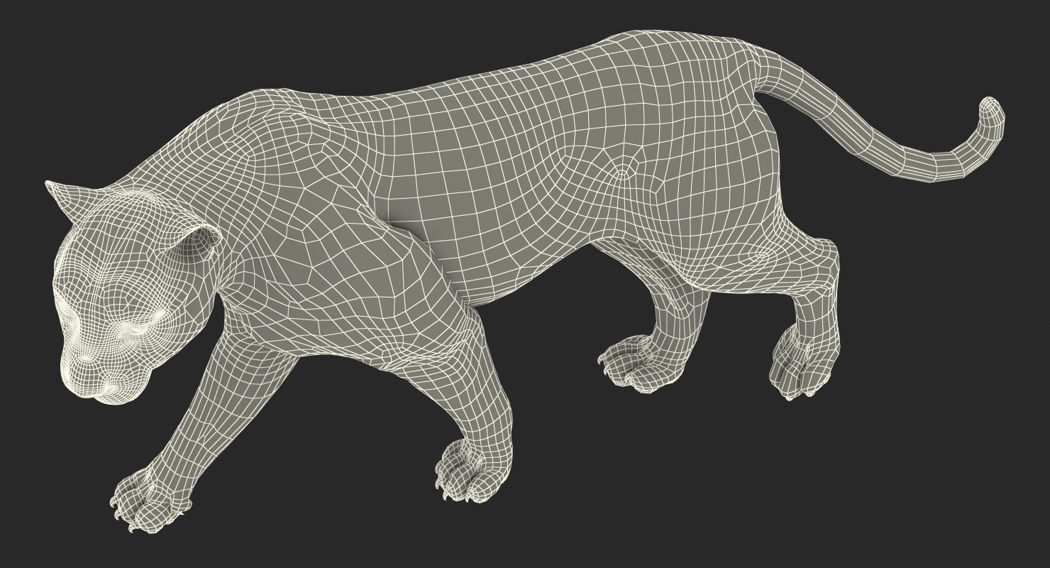 3D White Tiger Walkig Pose model