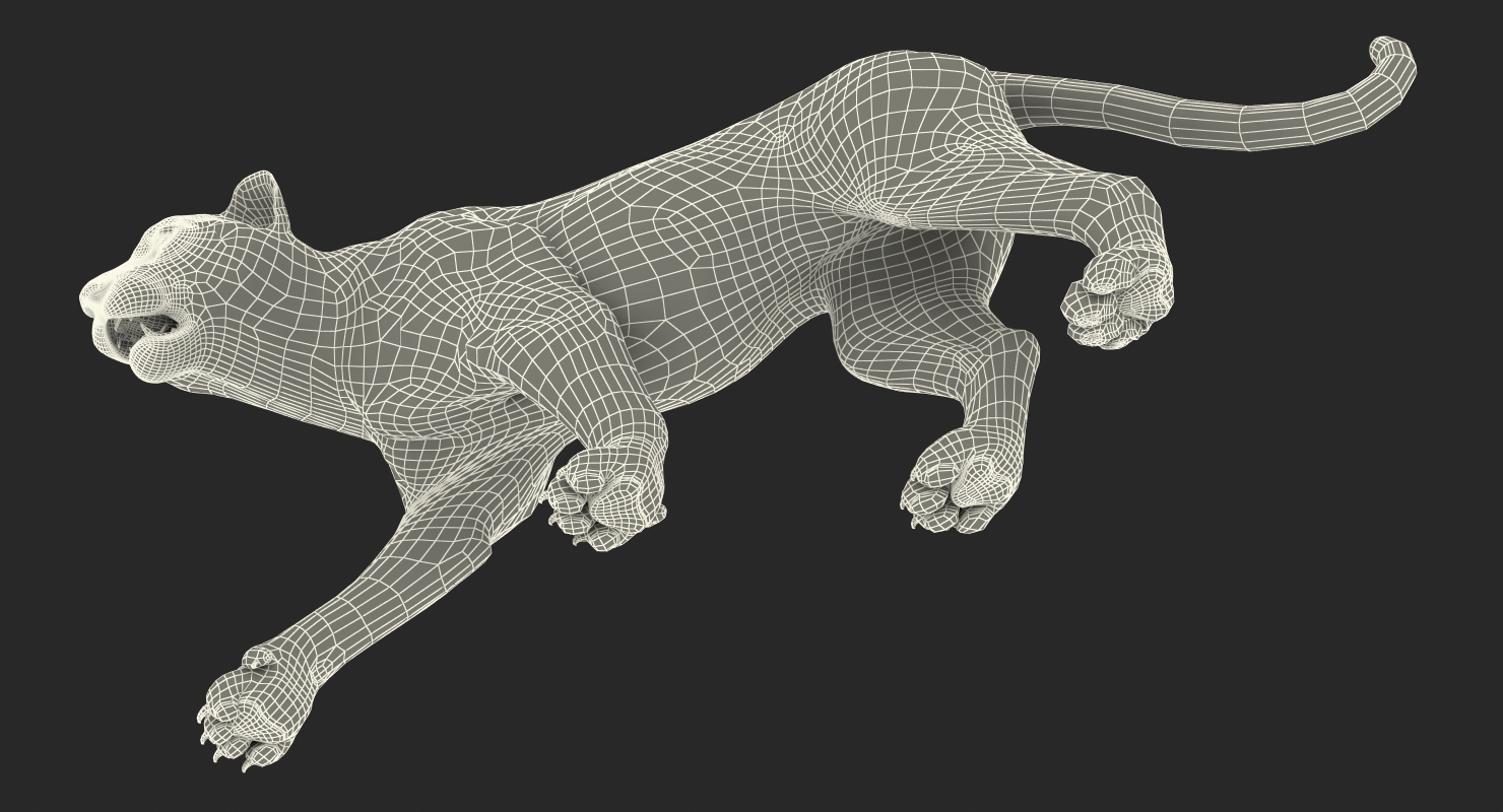 3D White Tiger Walkig Pose model