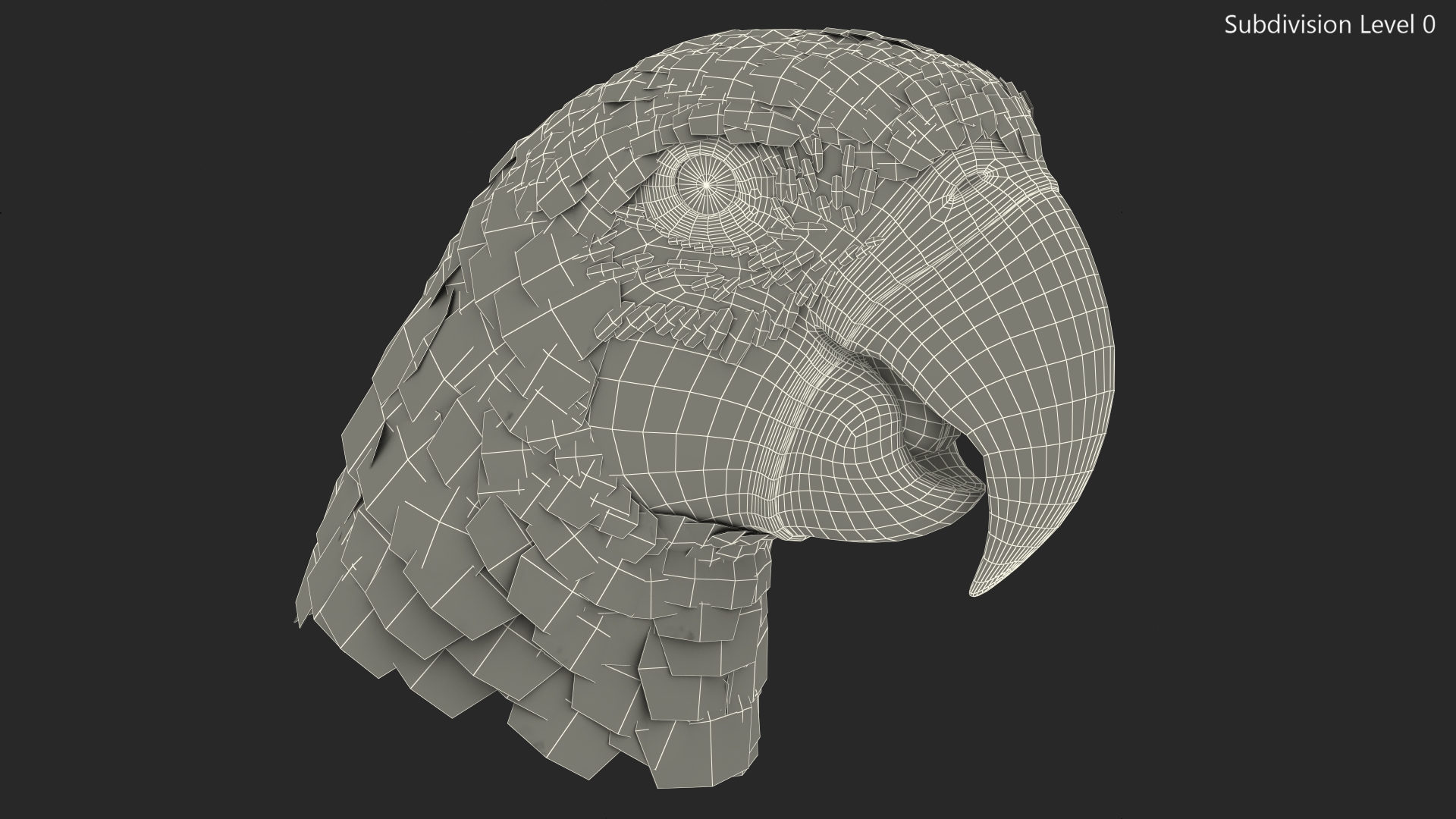 3D Red and Green Macaw Parrot Head