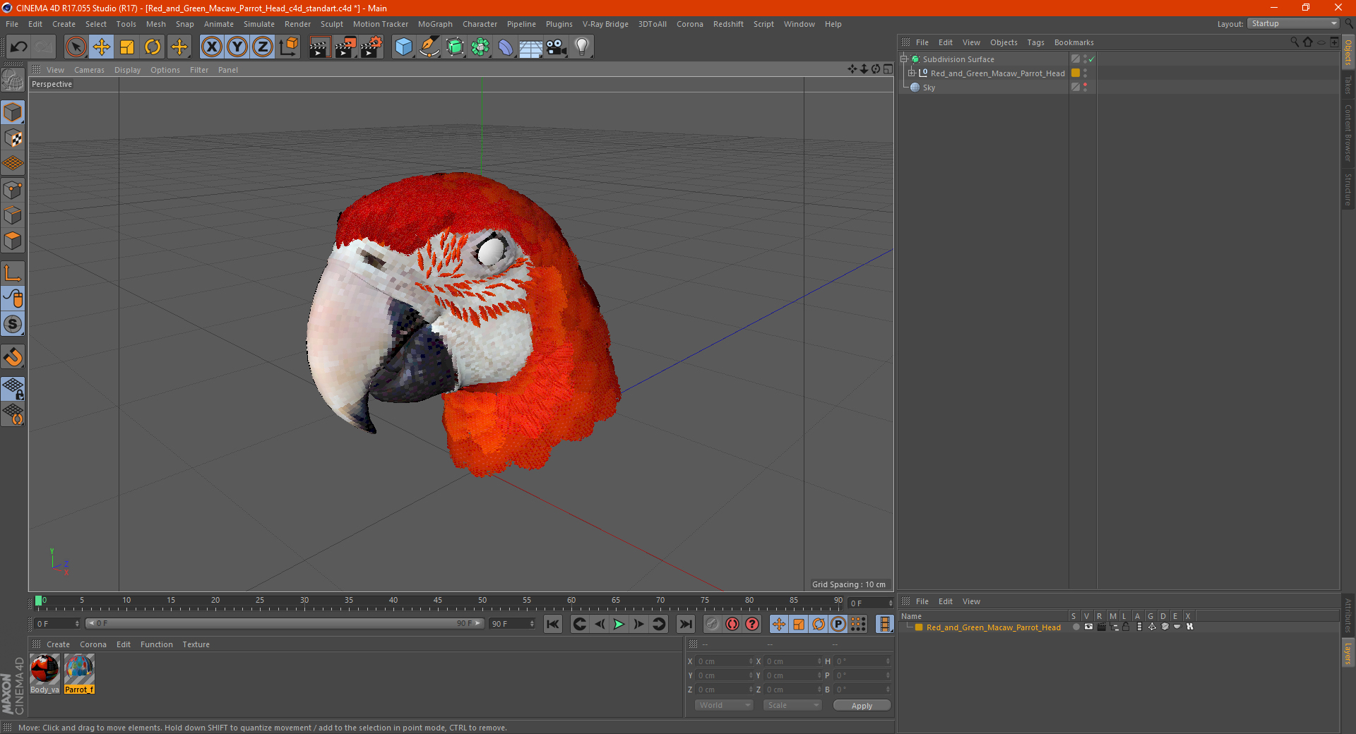 3D Red and Green Macaw Parrot Head