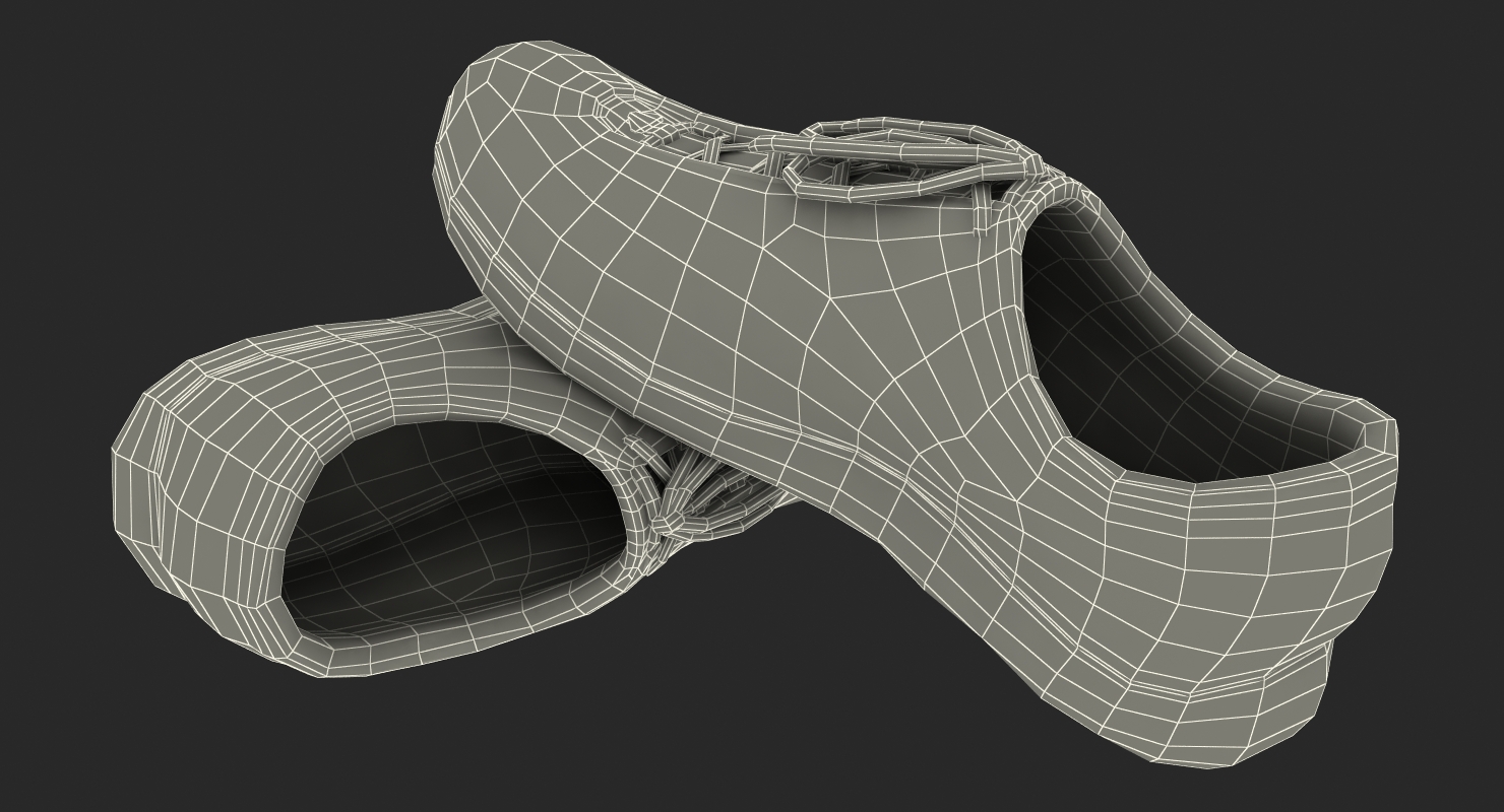 3D Fencing Shoes model