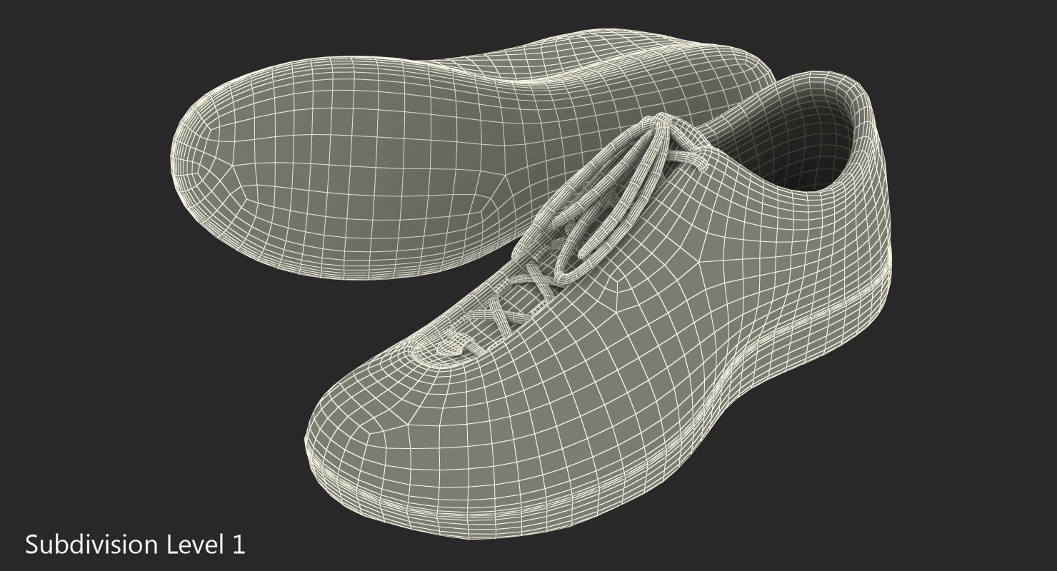 3D Fencing Shoes model