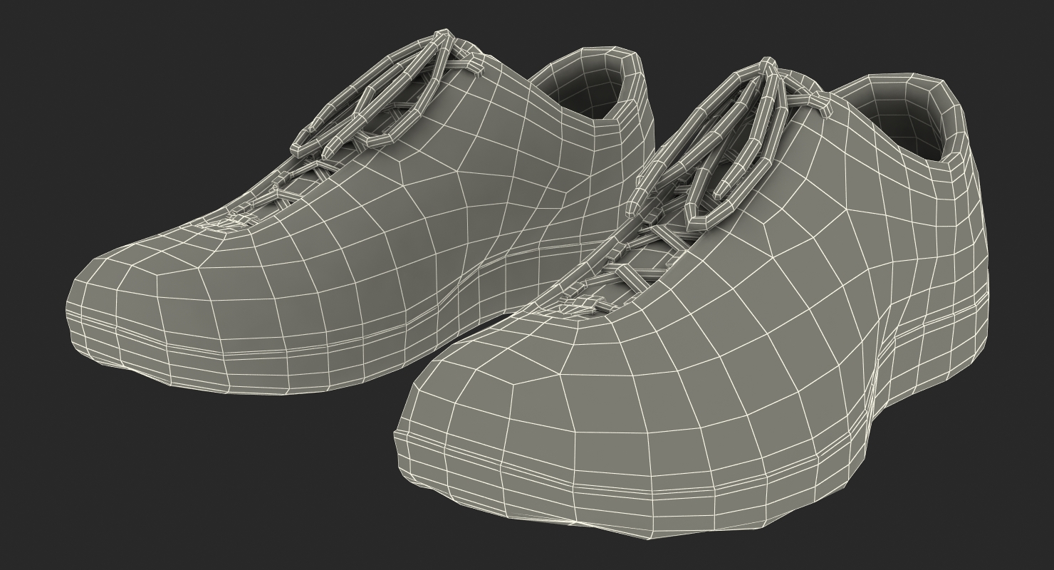 3D Fencing Shoes model