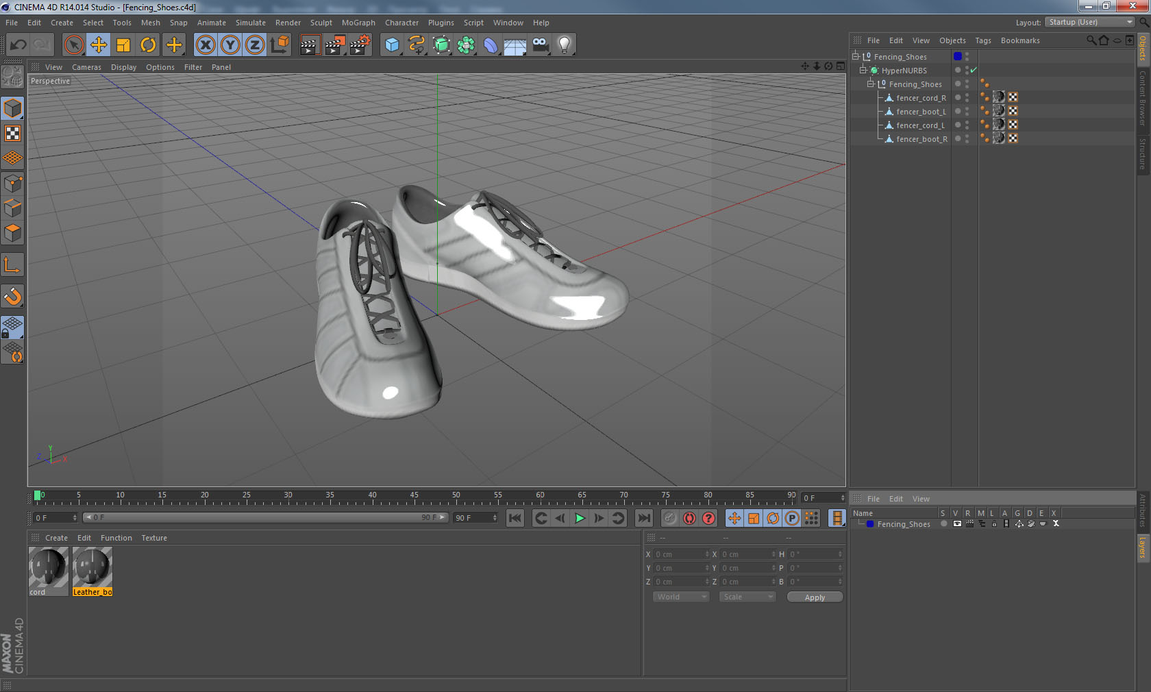 3D Fencing Shoes model