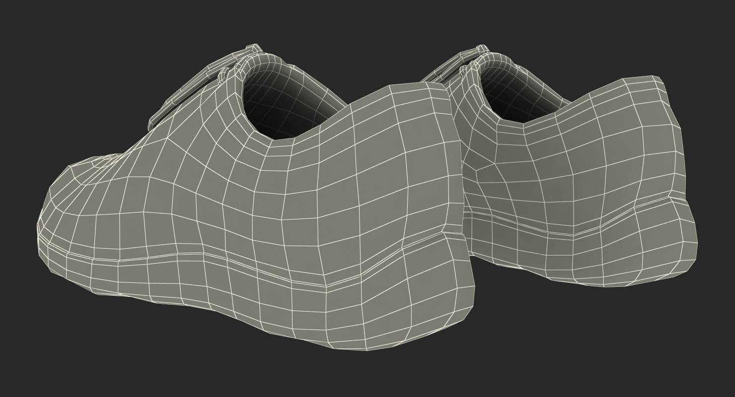 3D Fencing Shoes model