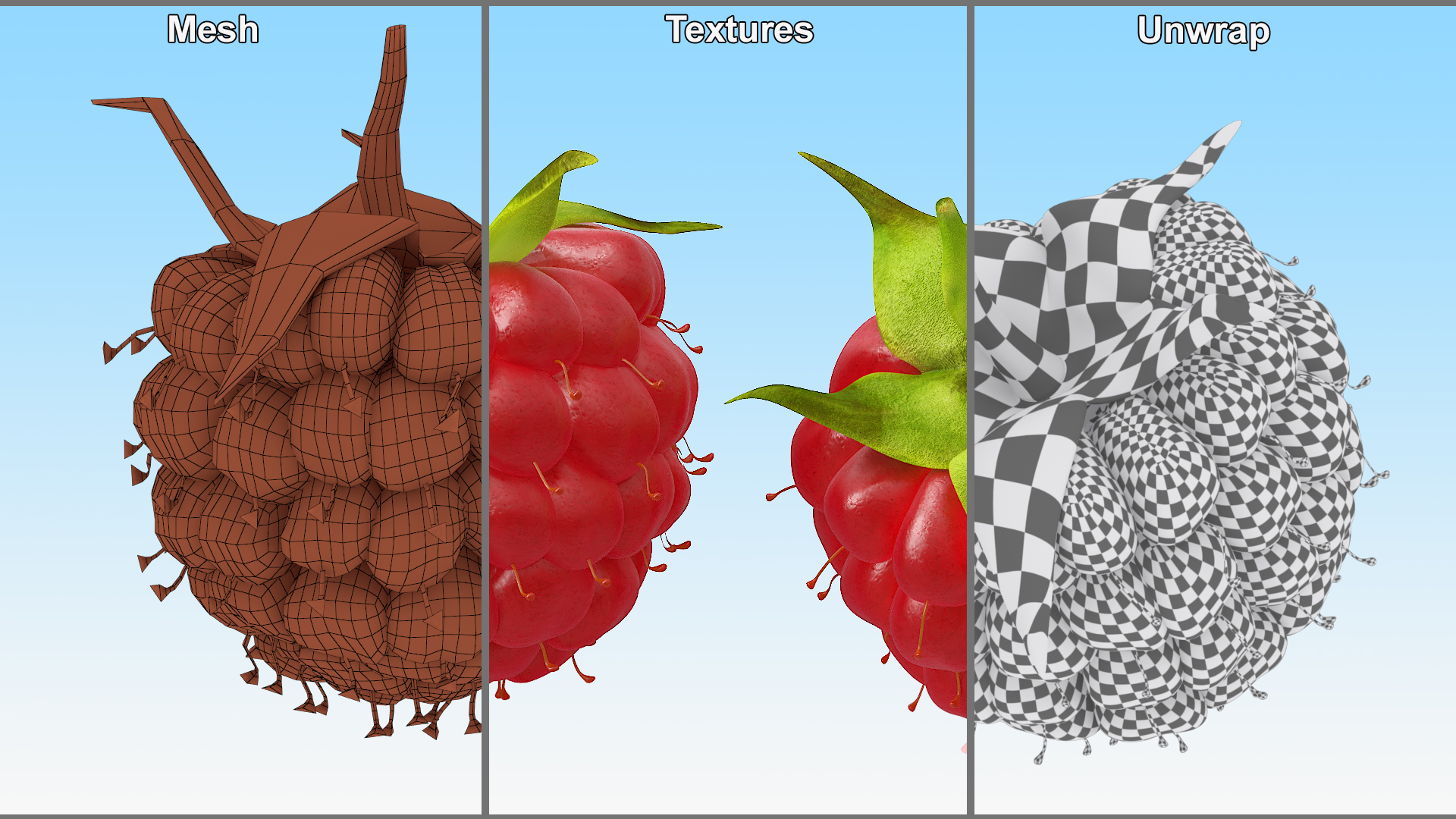 3D Red Ripe Raspberry model