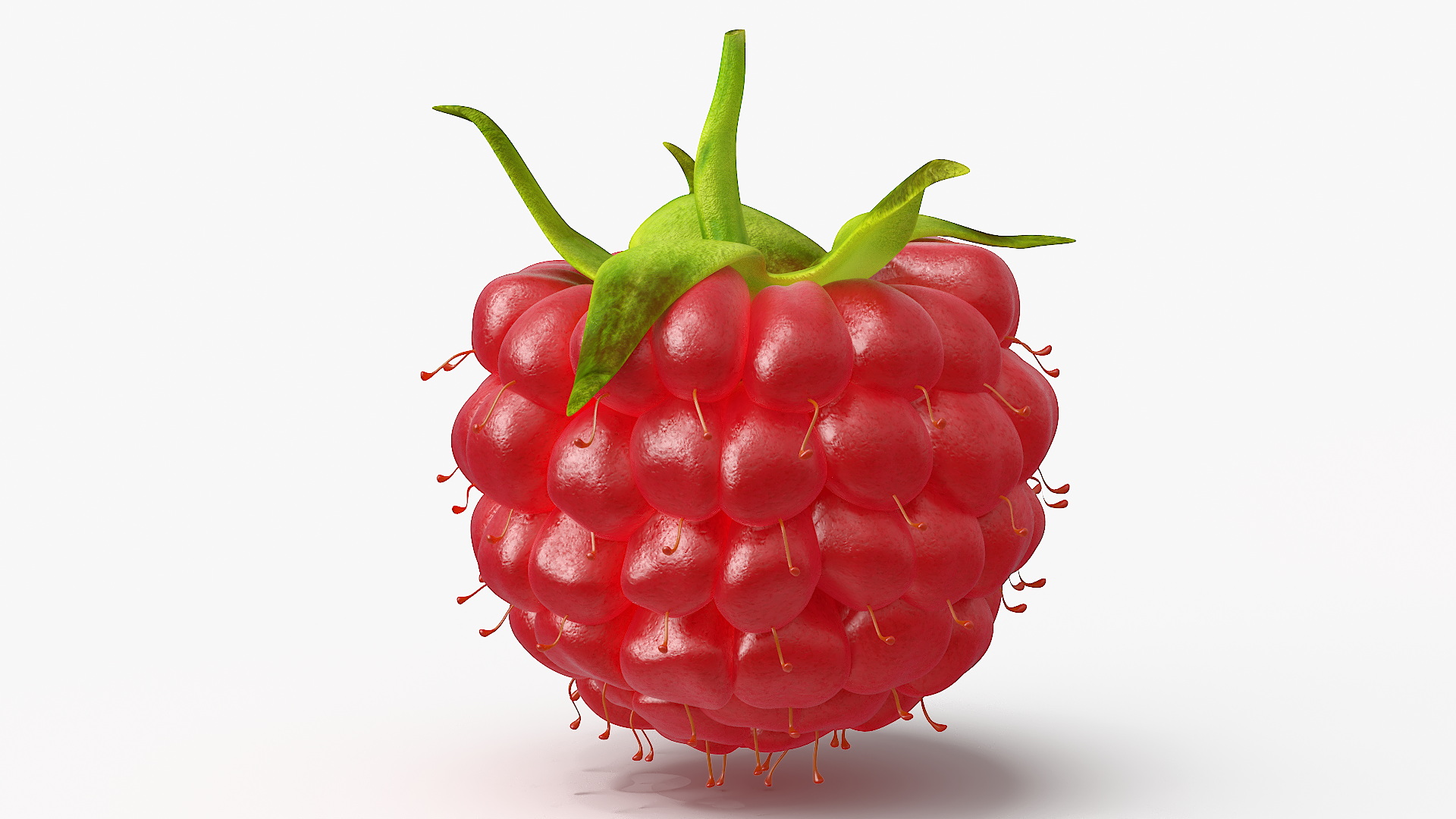 3D Red Ripe Raspberry model