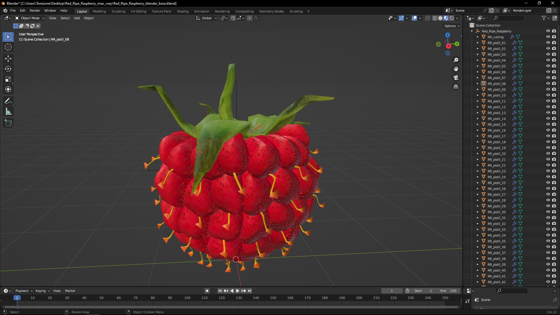 3D Red Ripe Raspberry model