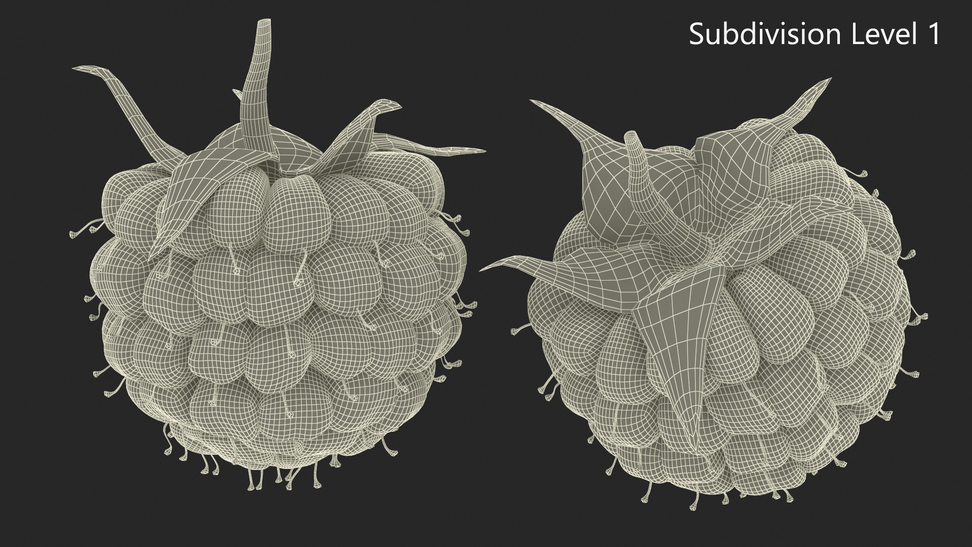 3D Red Ripe Raspberry model