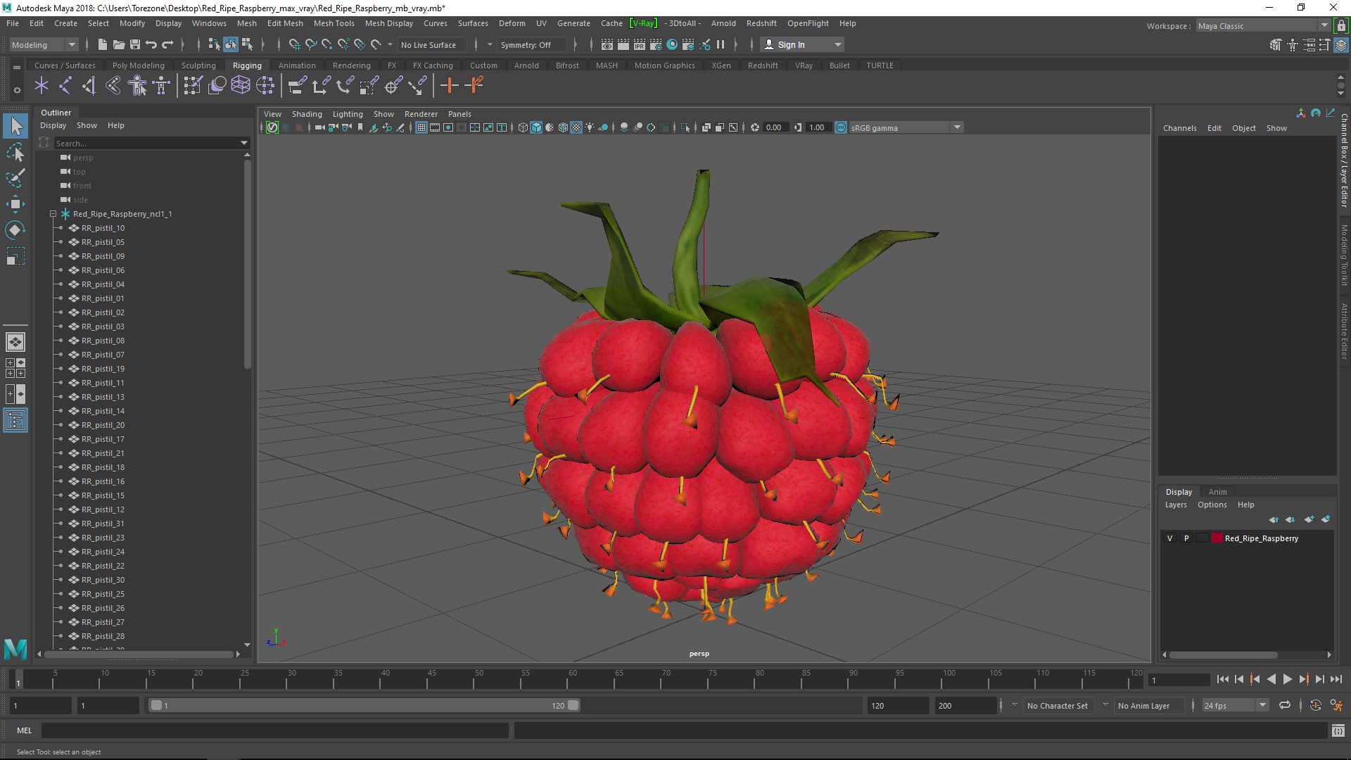 3D Red Ripe Raspberry model