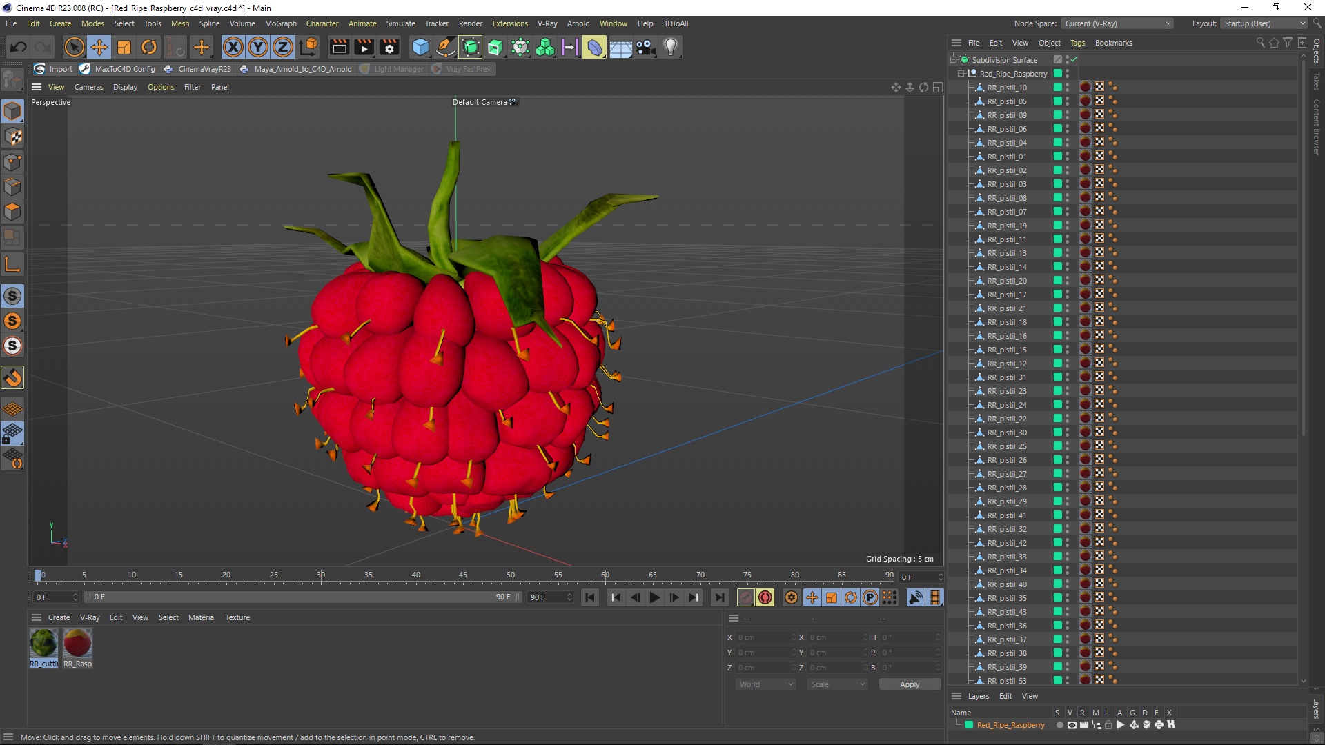 3D Red Ripe Raspberry model