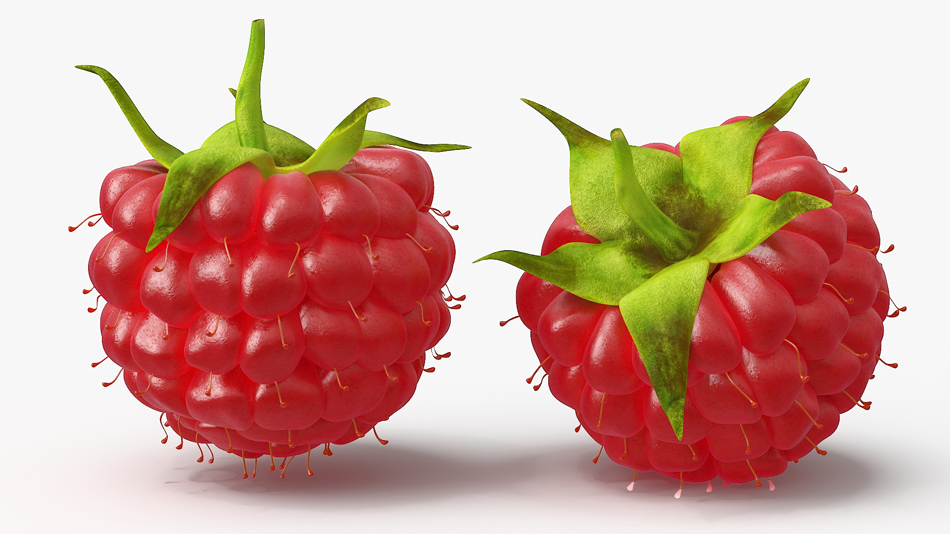 3D Red Ripe Raspberry model