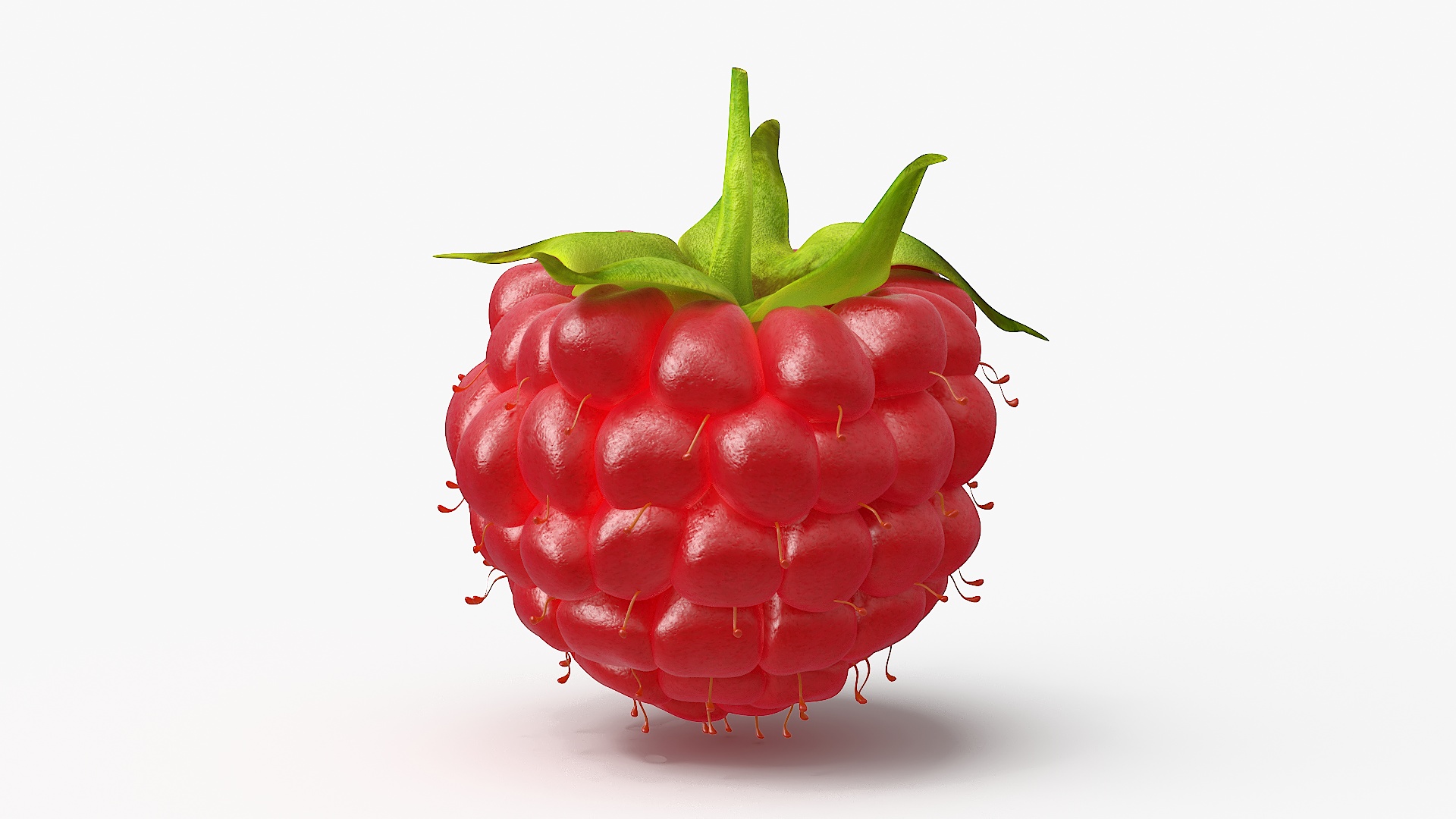 3D Red Ripe Raspberry model