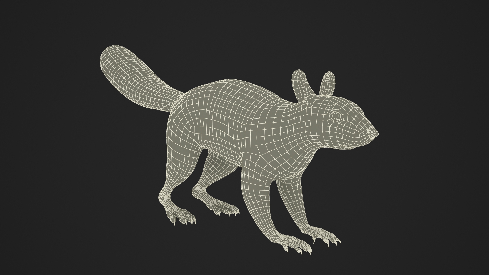 3D Red Squirrel Fur Rigged model