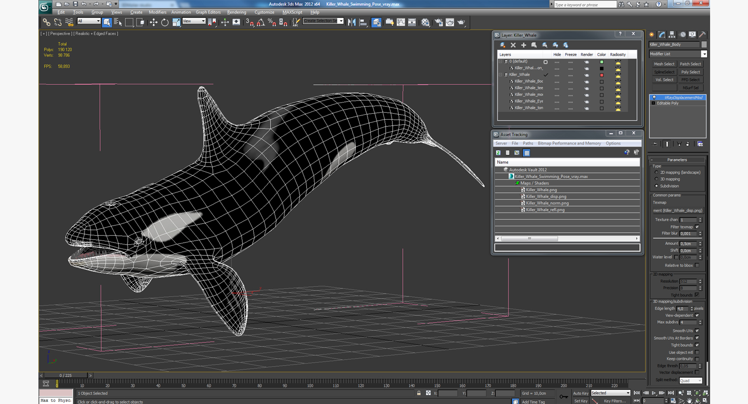 3D Killer Whale Swimming Pose