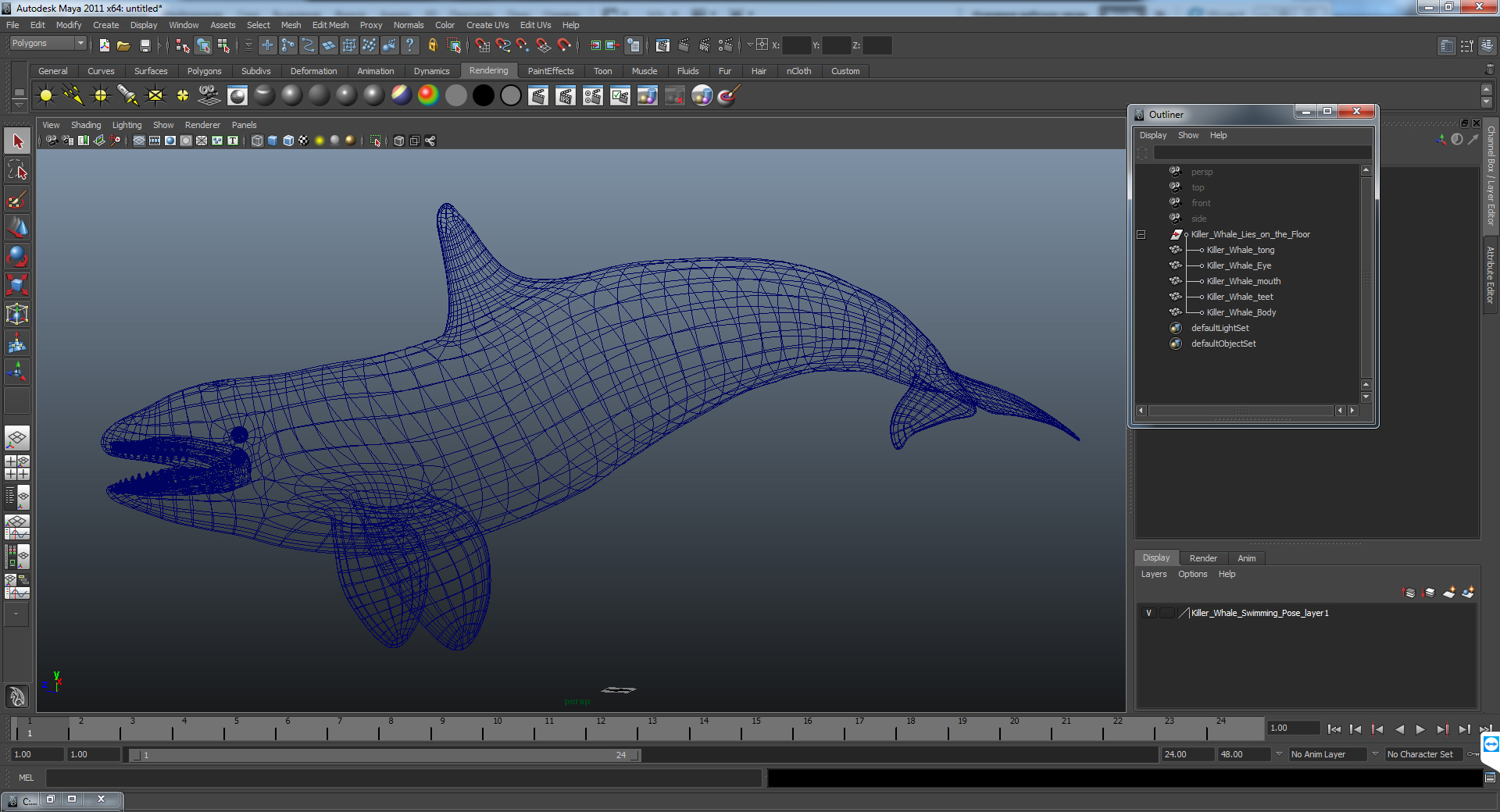 3D Killer Whale Swimming Pose