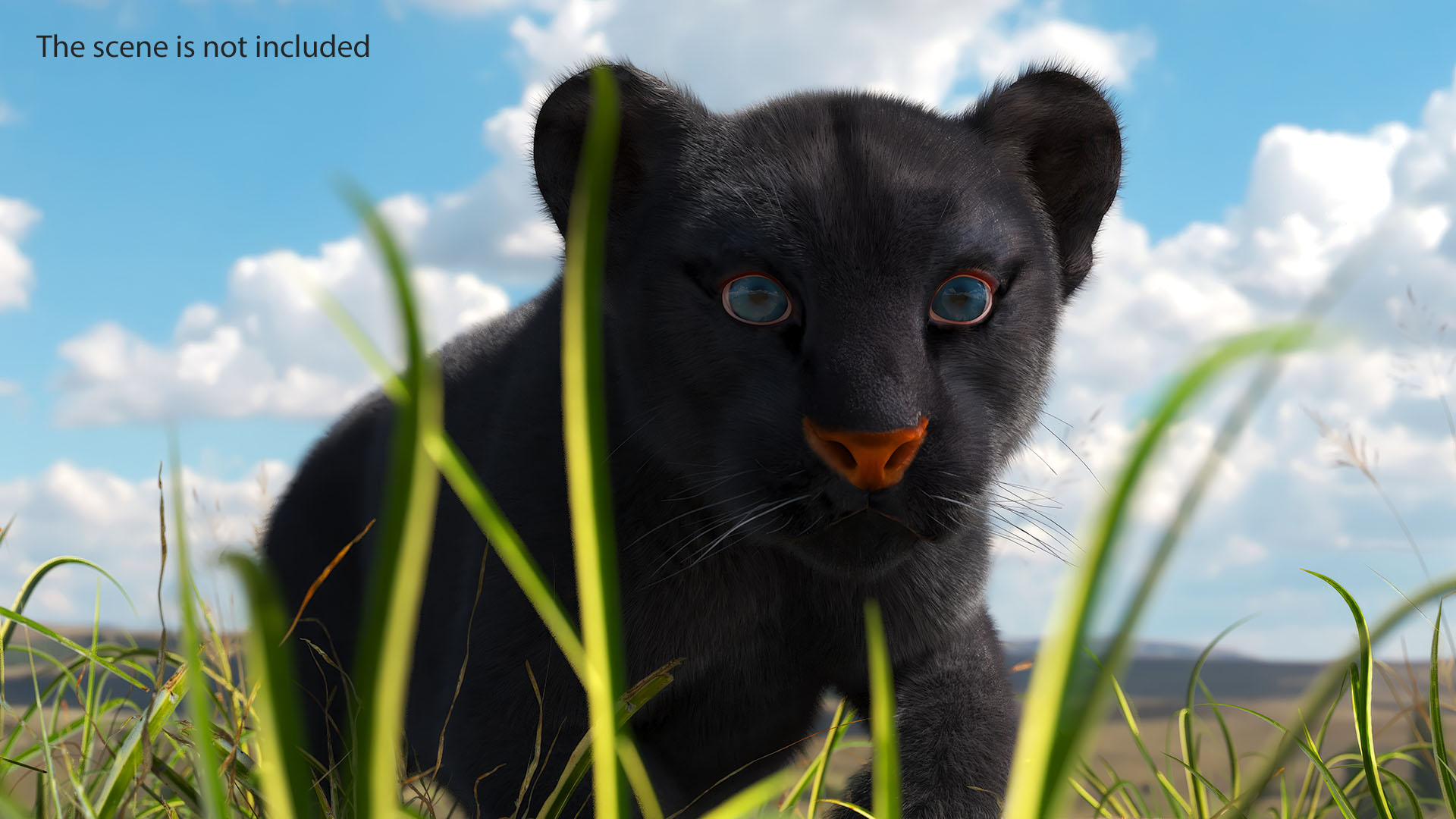 3D model Black Panther Cub Sneaking Pose with Fur