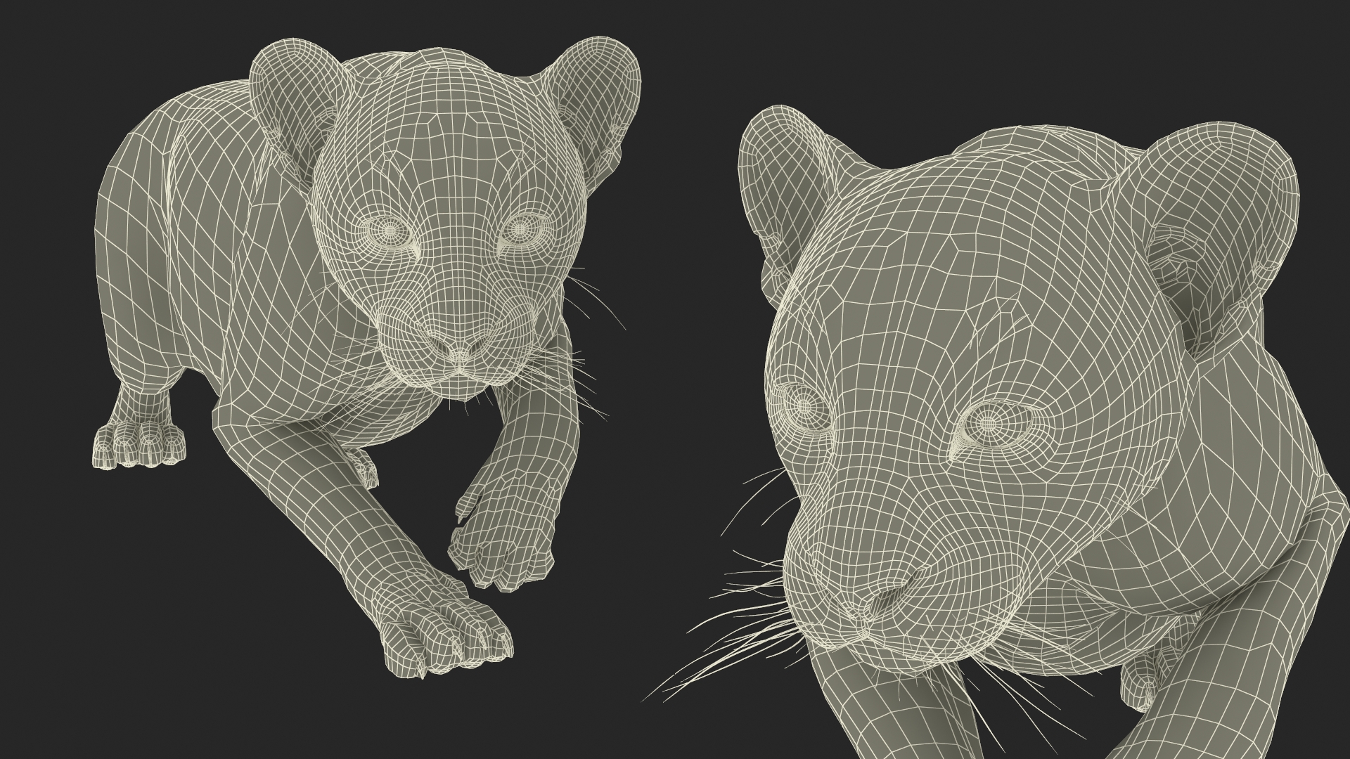 3D model Black Panther Cub Sneaking Pose with Fur