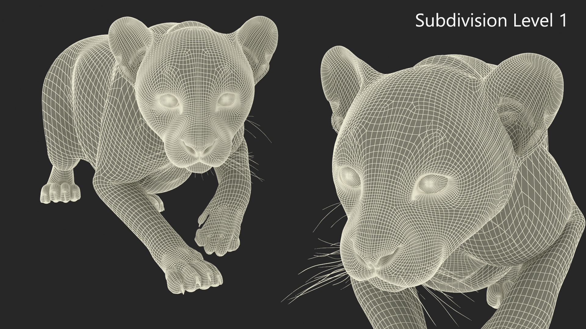 3D model Black Panther Cub Sneaking Pose with Fur