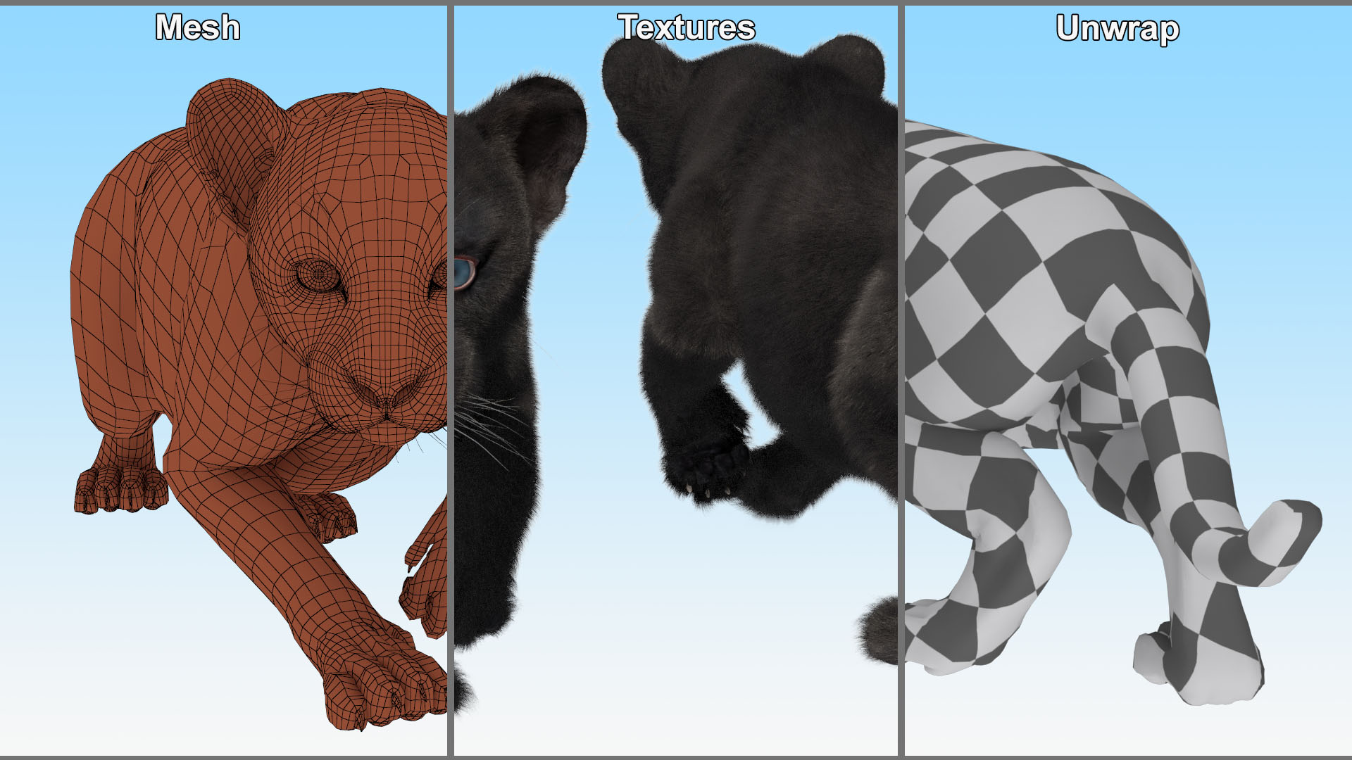 3D model Black Panther Cub Sneaking Pose with Fur